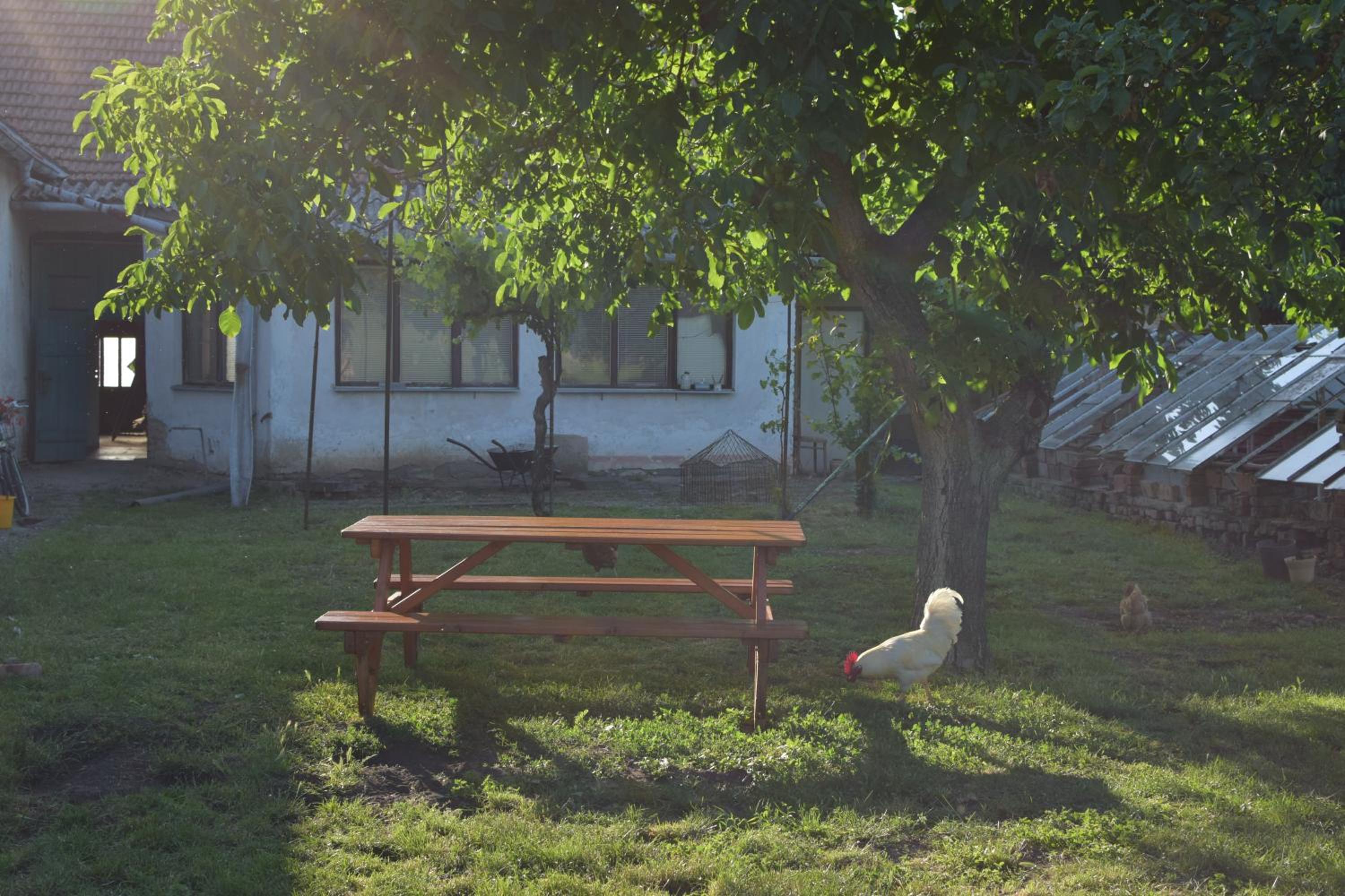 Vacation Home photo 3