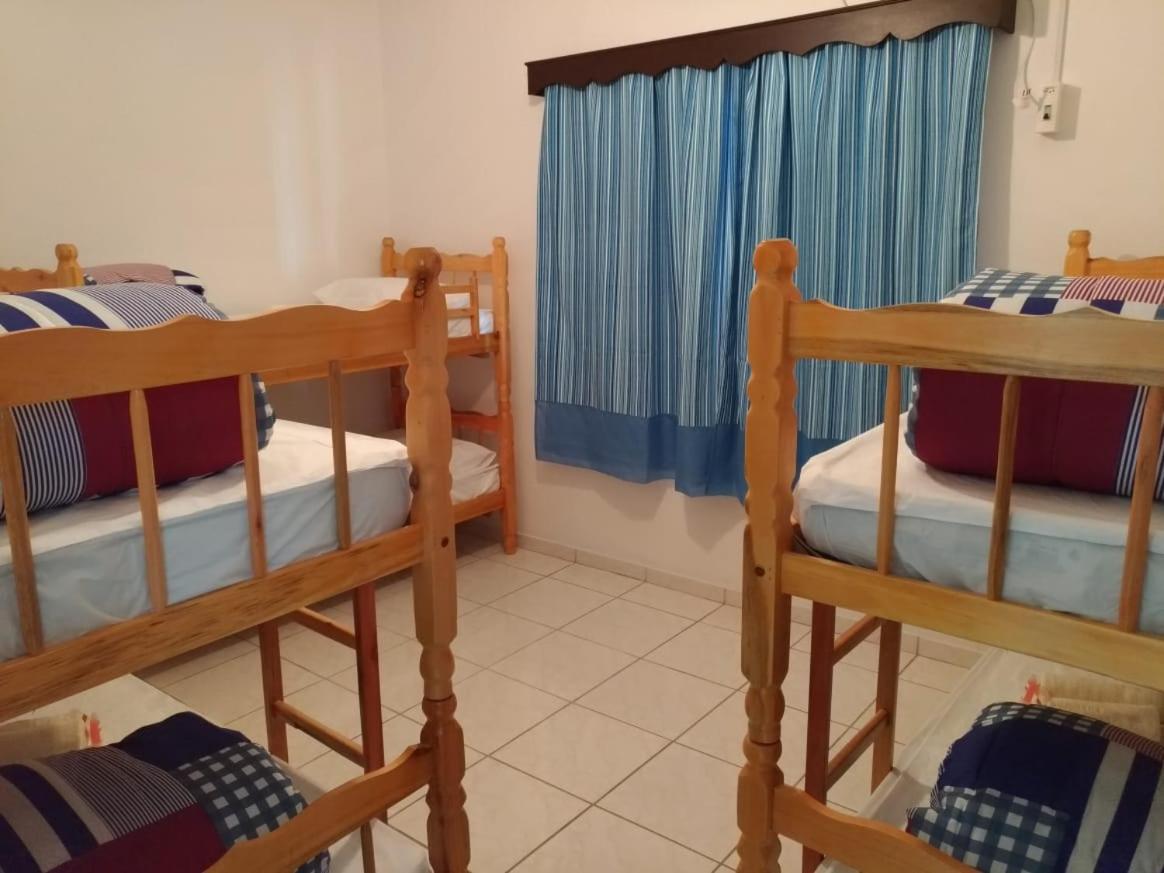 Bunk Bed in Female Dormitory Room photo 1