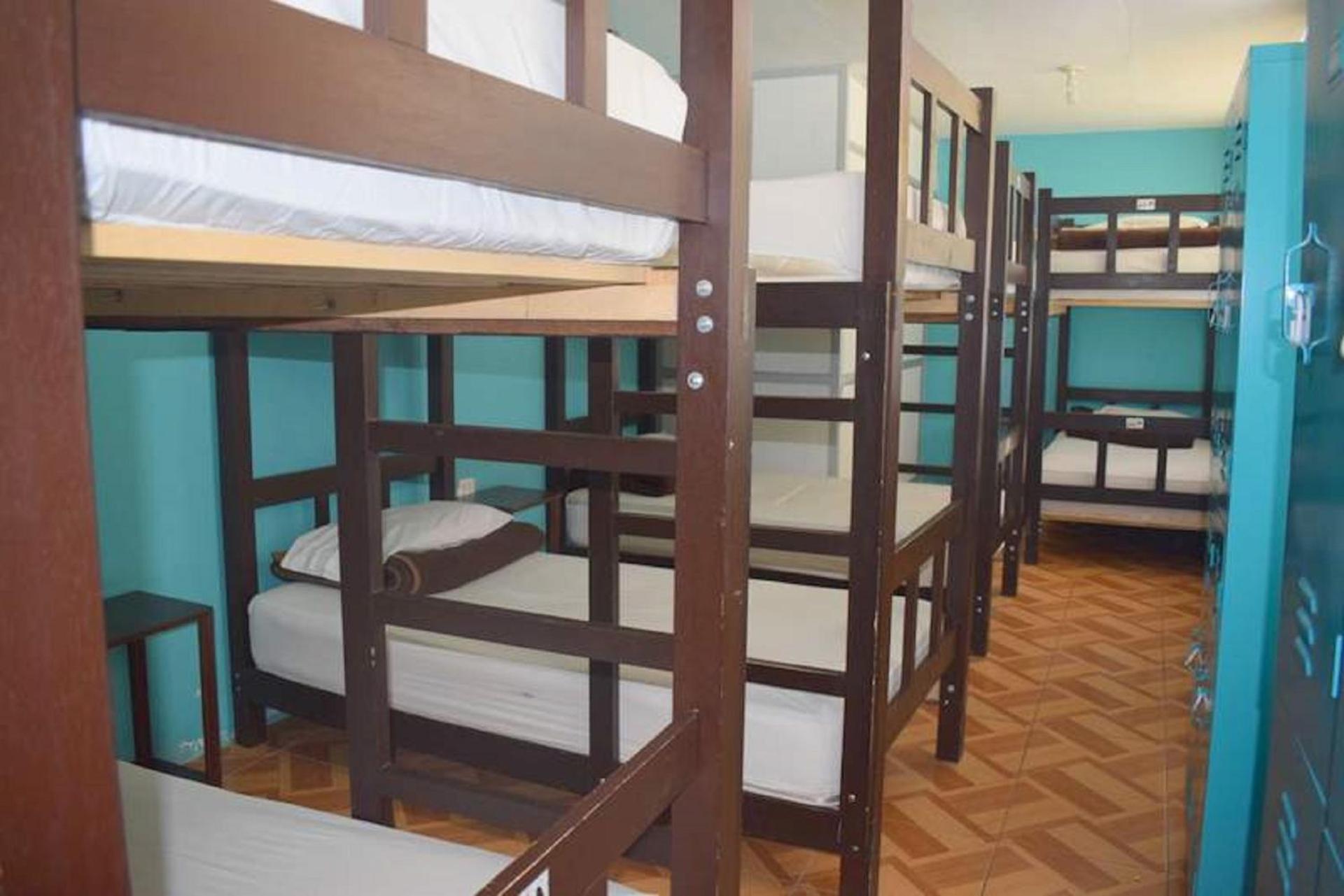 Bed in 8-Bed Mixed Dormitory Room photo 1