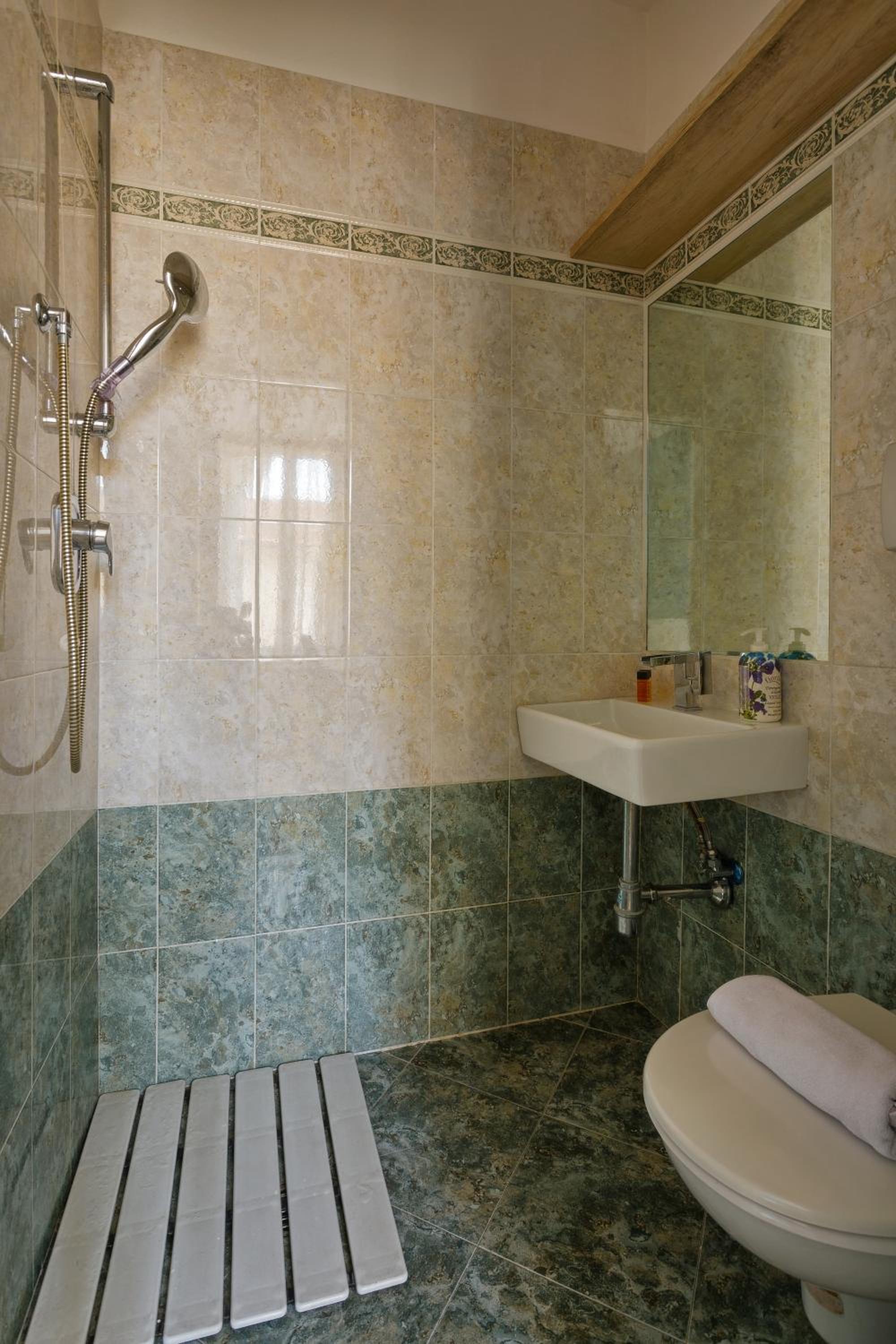 Deluxe Single Room photo 3