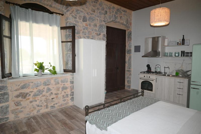 One-Bedroom House photo 3