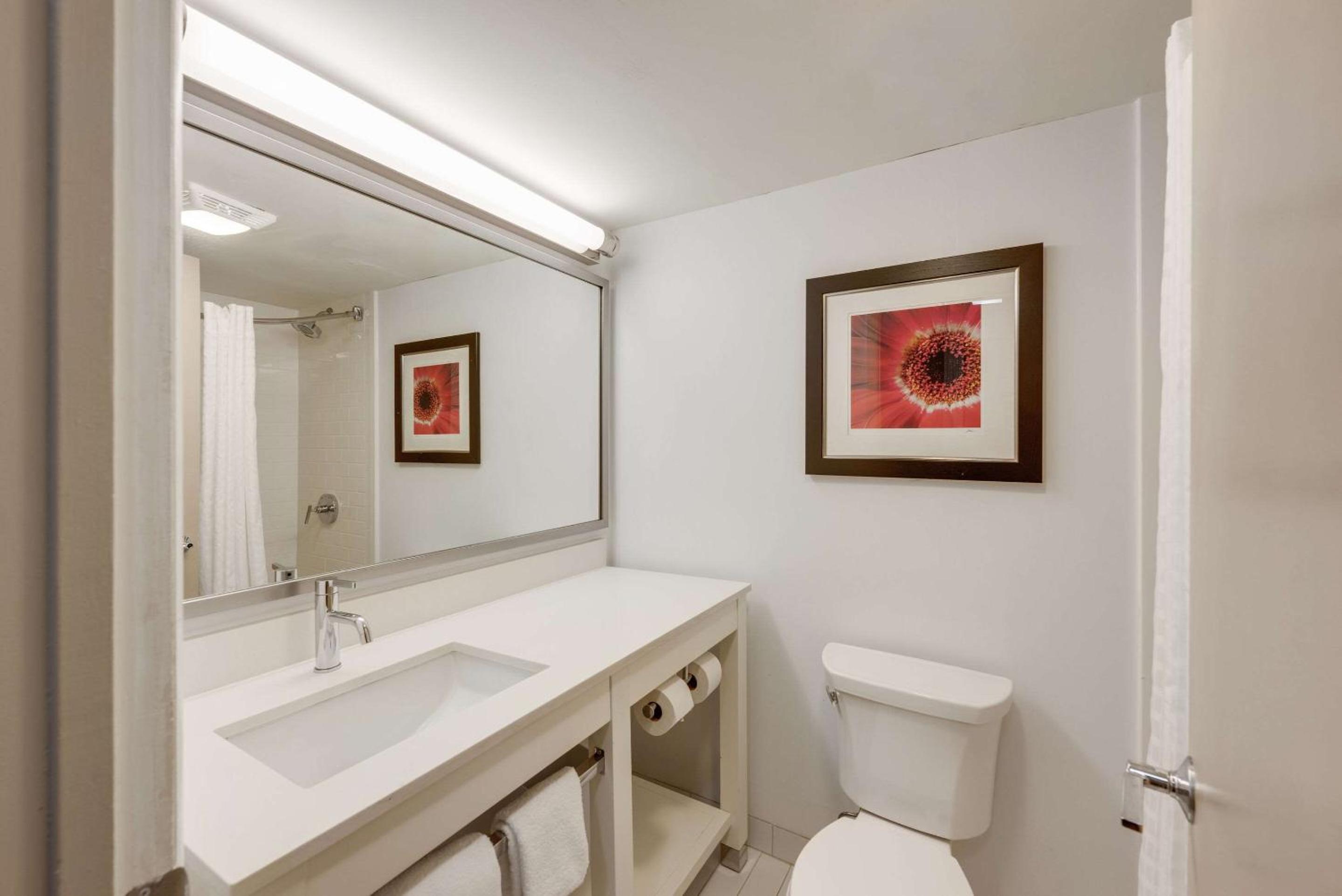 King Suite - Photo 2