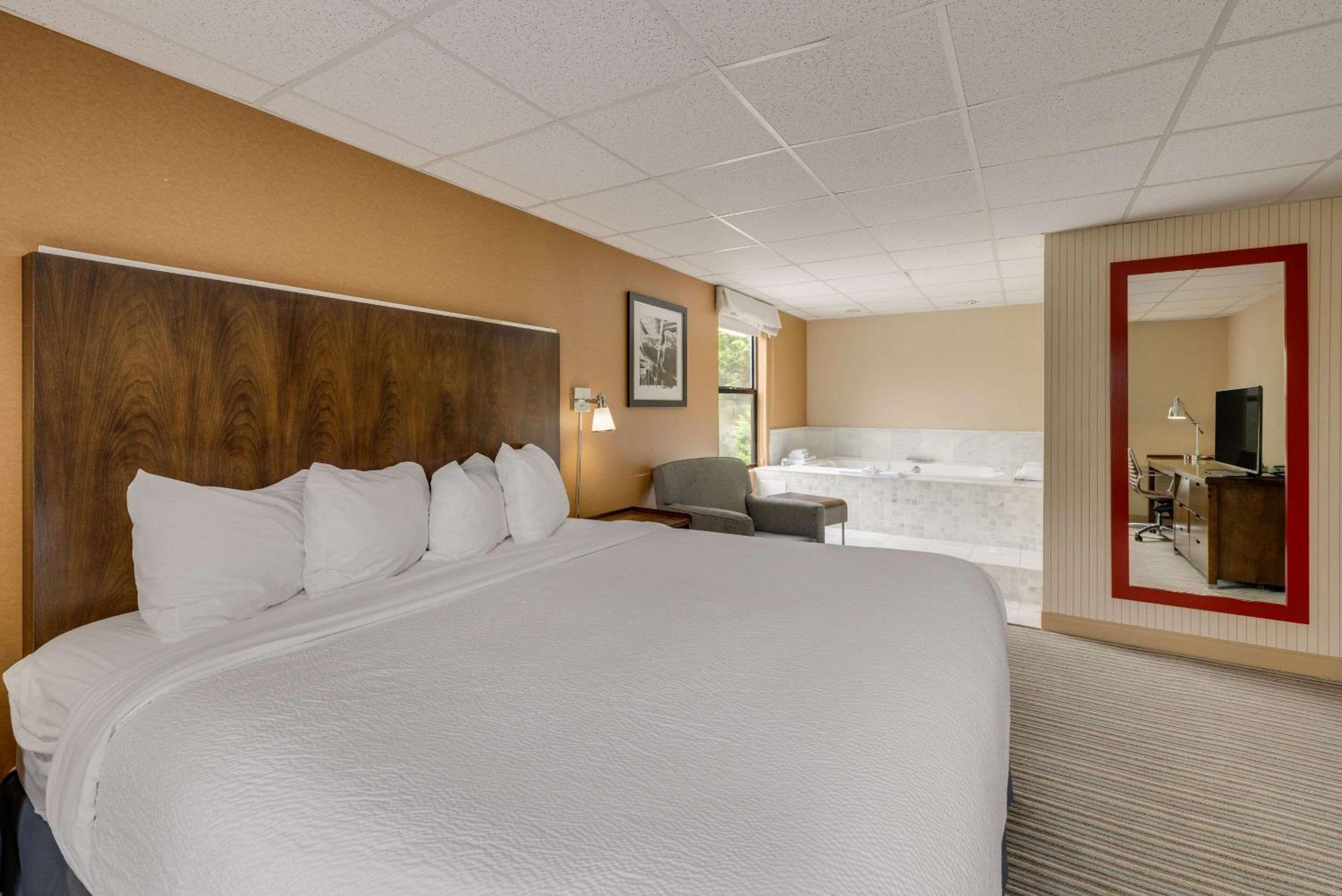King Suite - Photo 4