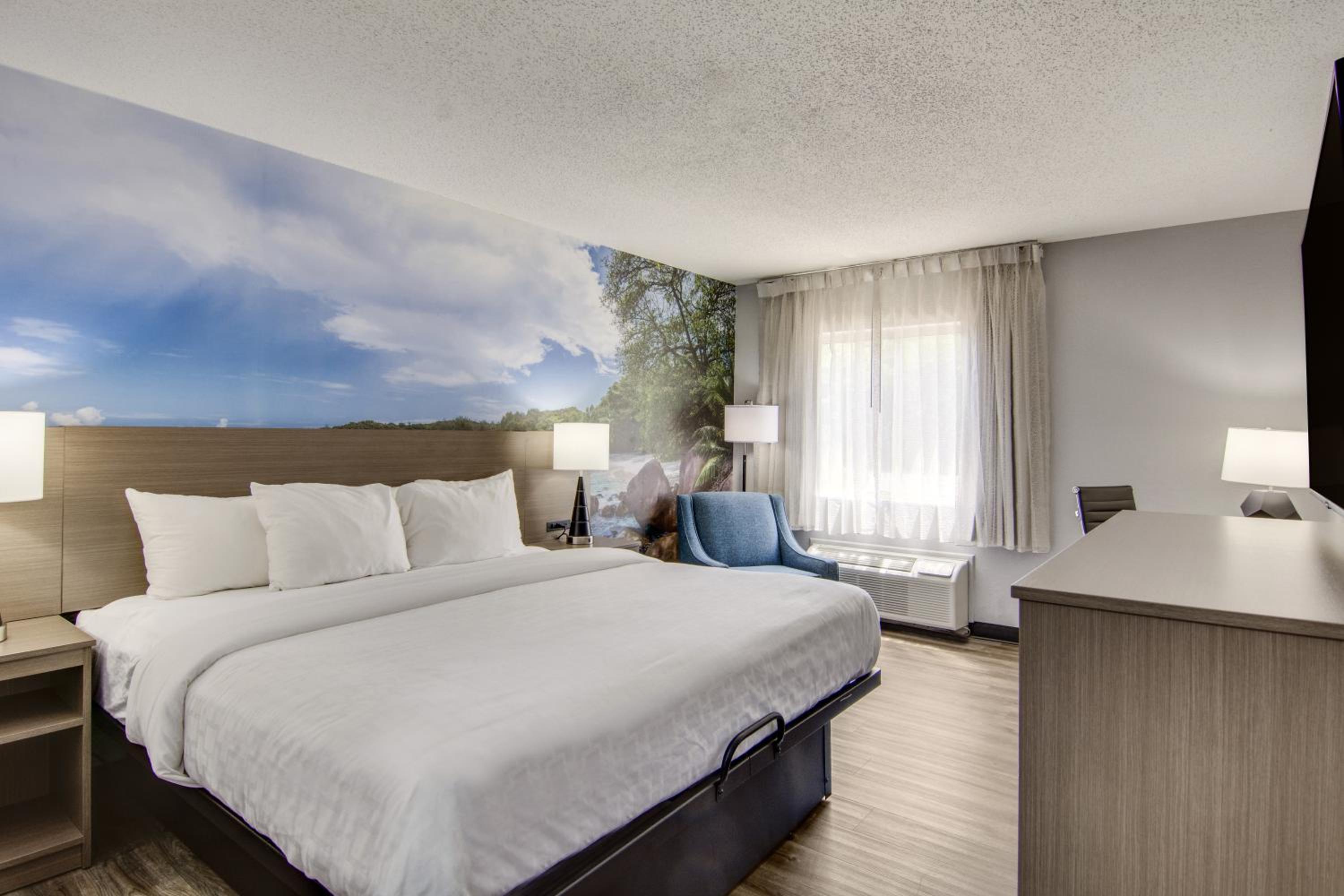 King Room Upgrade - Accessible/Non Smoking photo 1