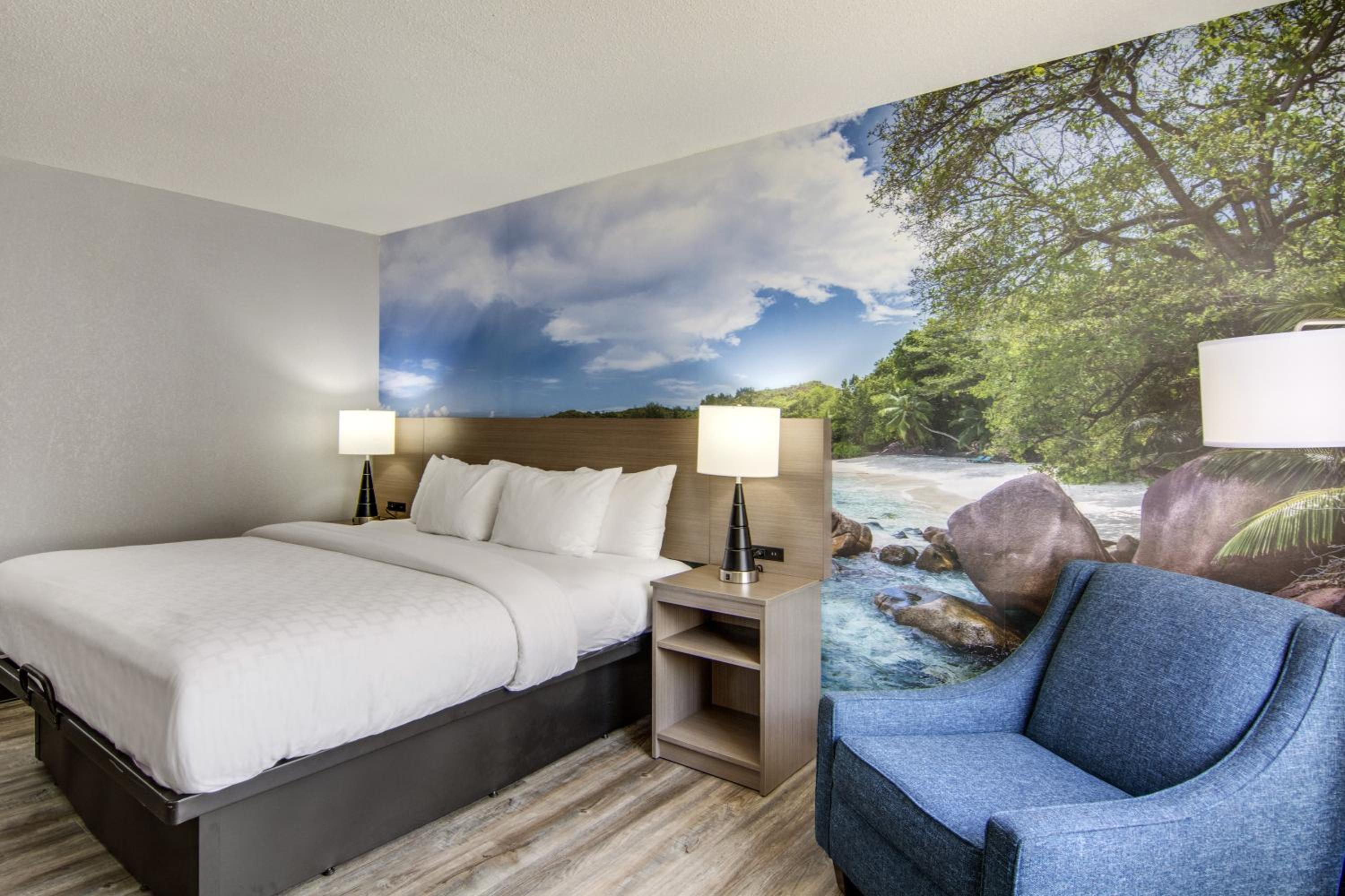 King Room - Accessible/Non Smoking photo 3