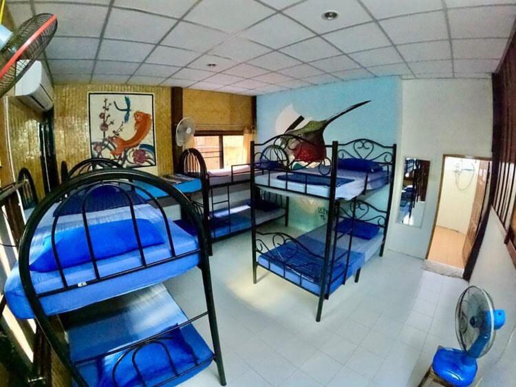 Bunk Bed in Mixed Dormitory Room photo 1