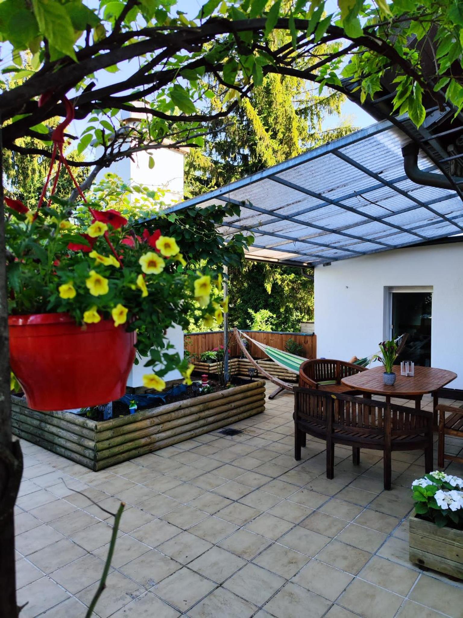 Apartment with Terrace photo 2