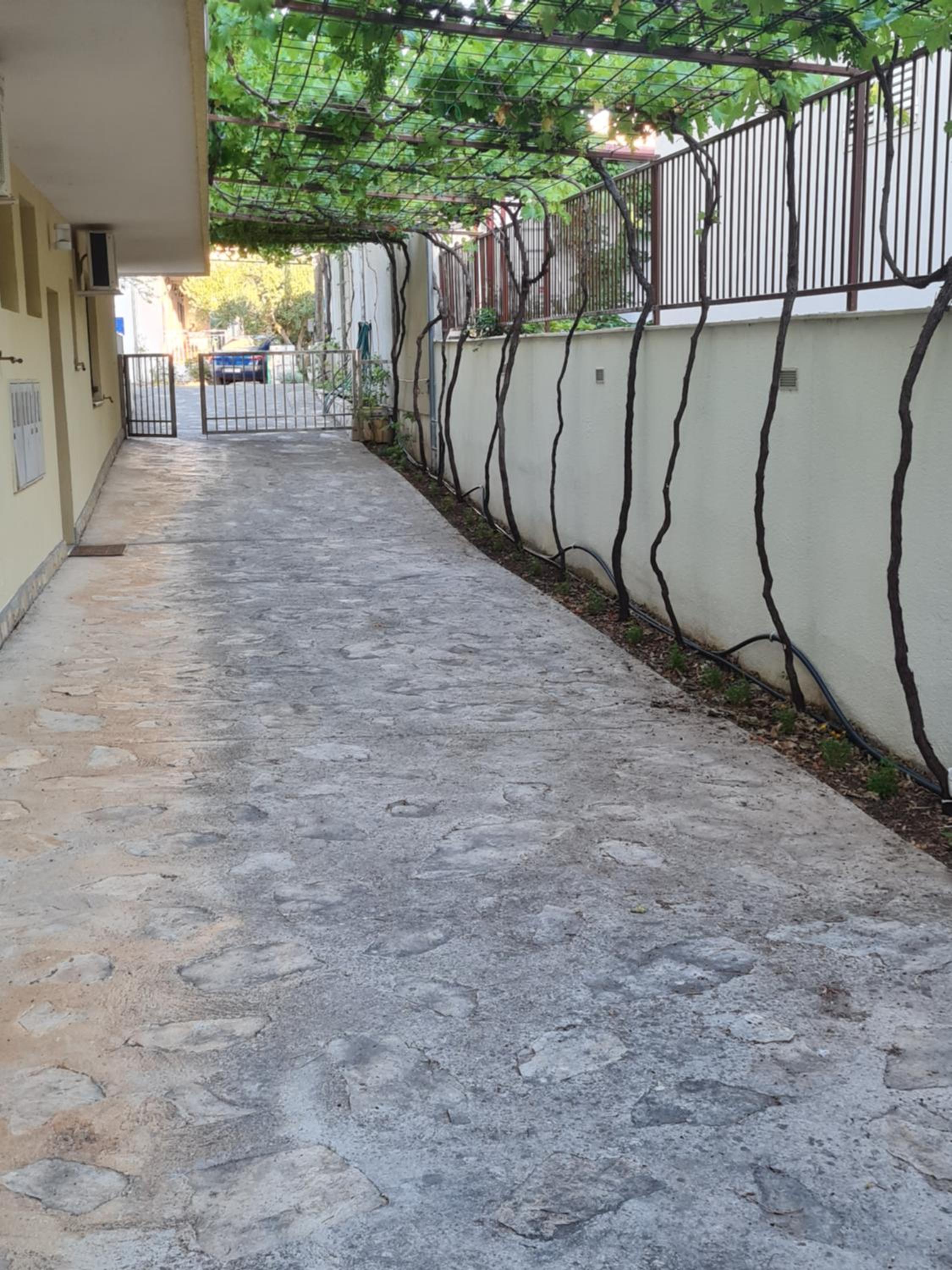 Apartment - Ground Floor photo 2