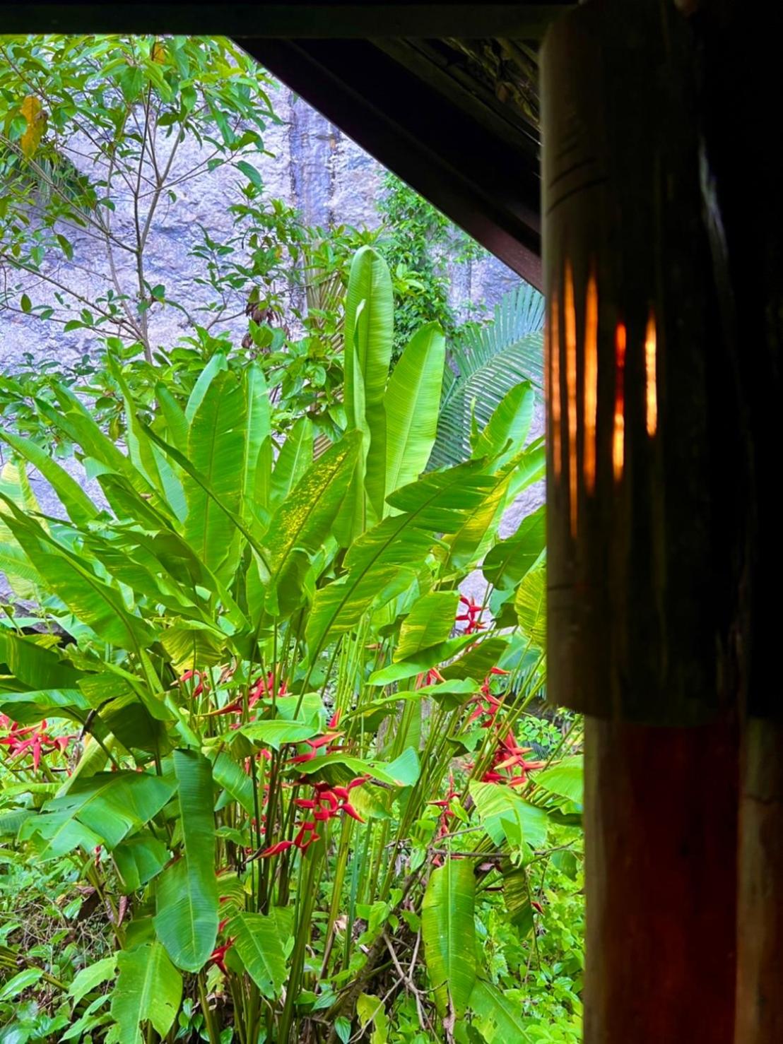 Standard Room with River View photo 2
