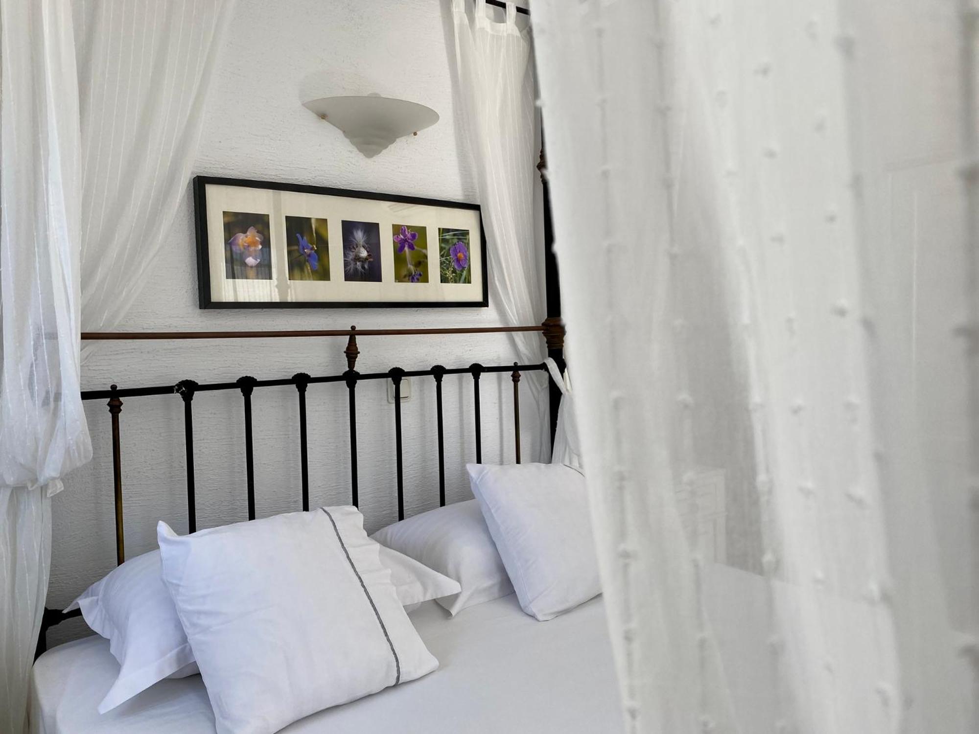 Studio with Pool View (2 Adults)