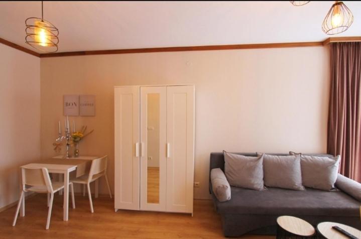 One-Bedroom Apartment - Photo 7