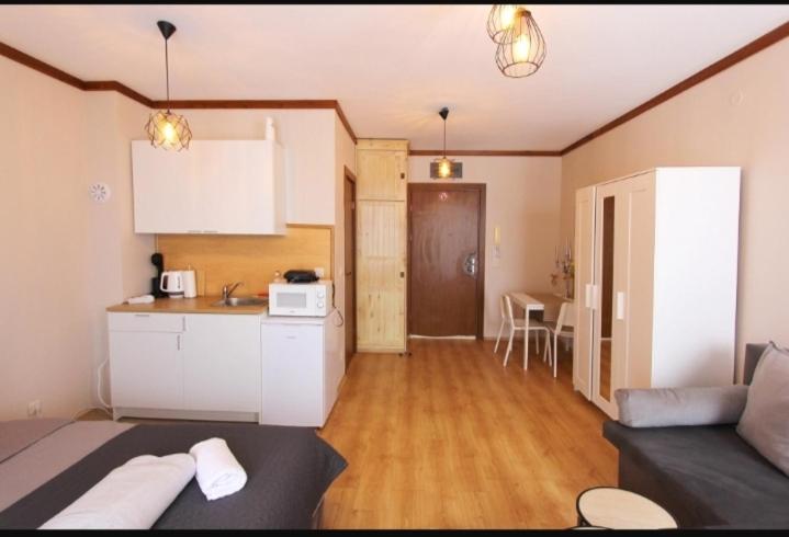 One-Bedroom Apartment - Photo 5