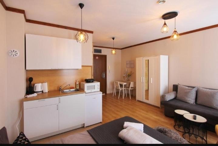 One-Bedroom Apartment - Photo 2