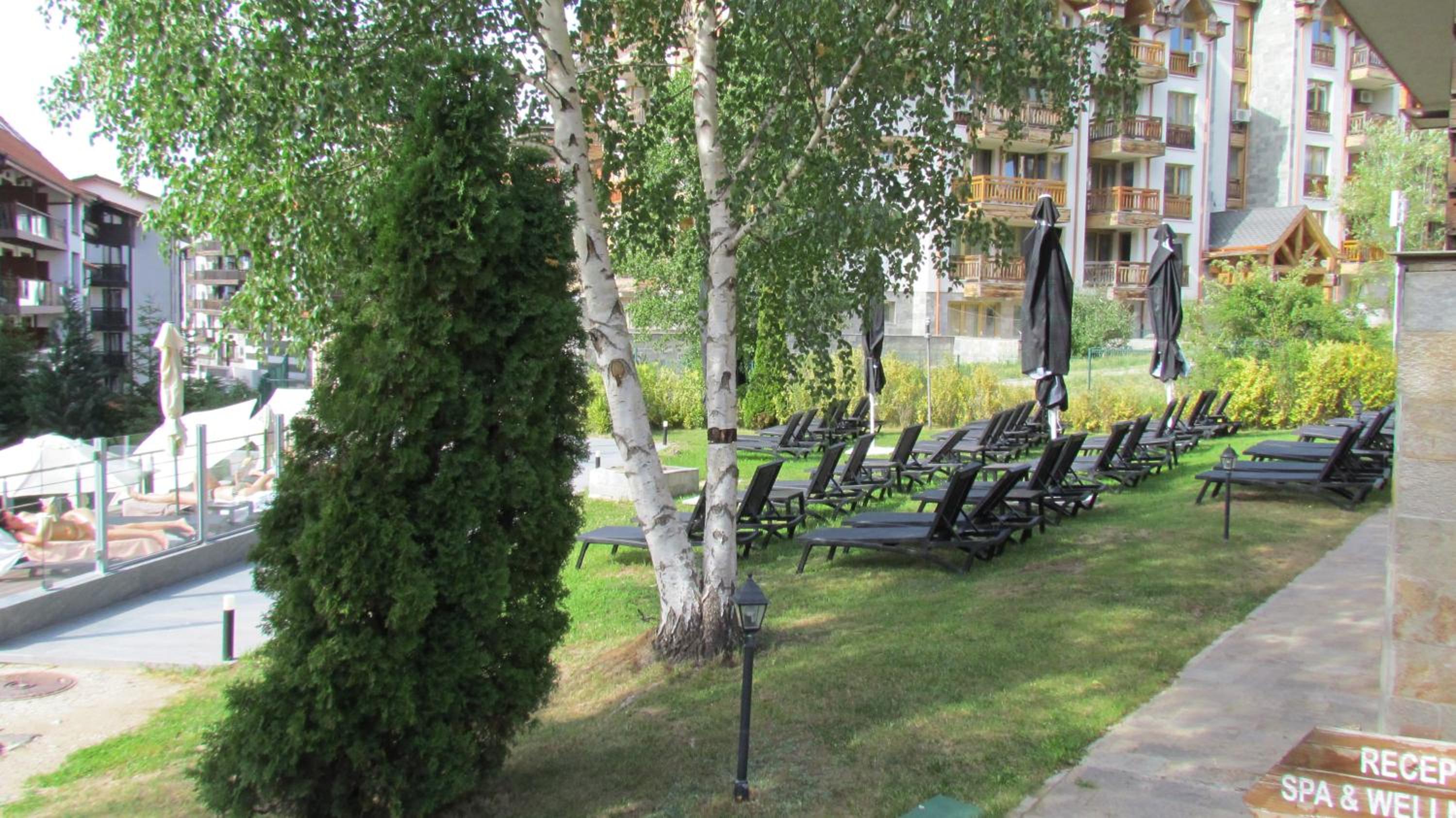 One-Bedroom Apartment - Photo 29