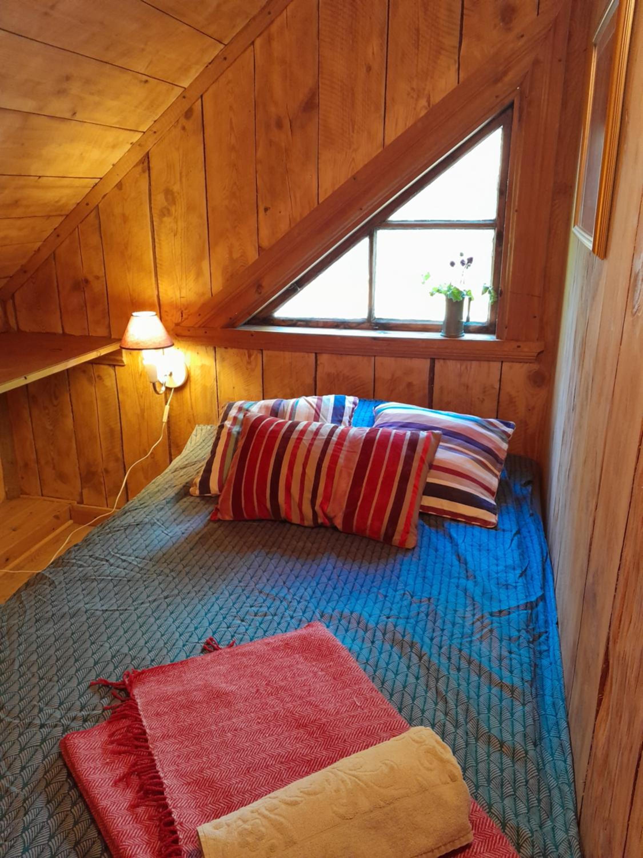 Single Room photo 3