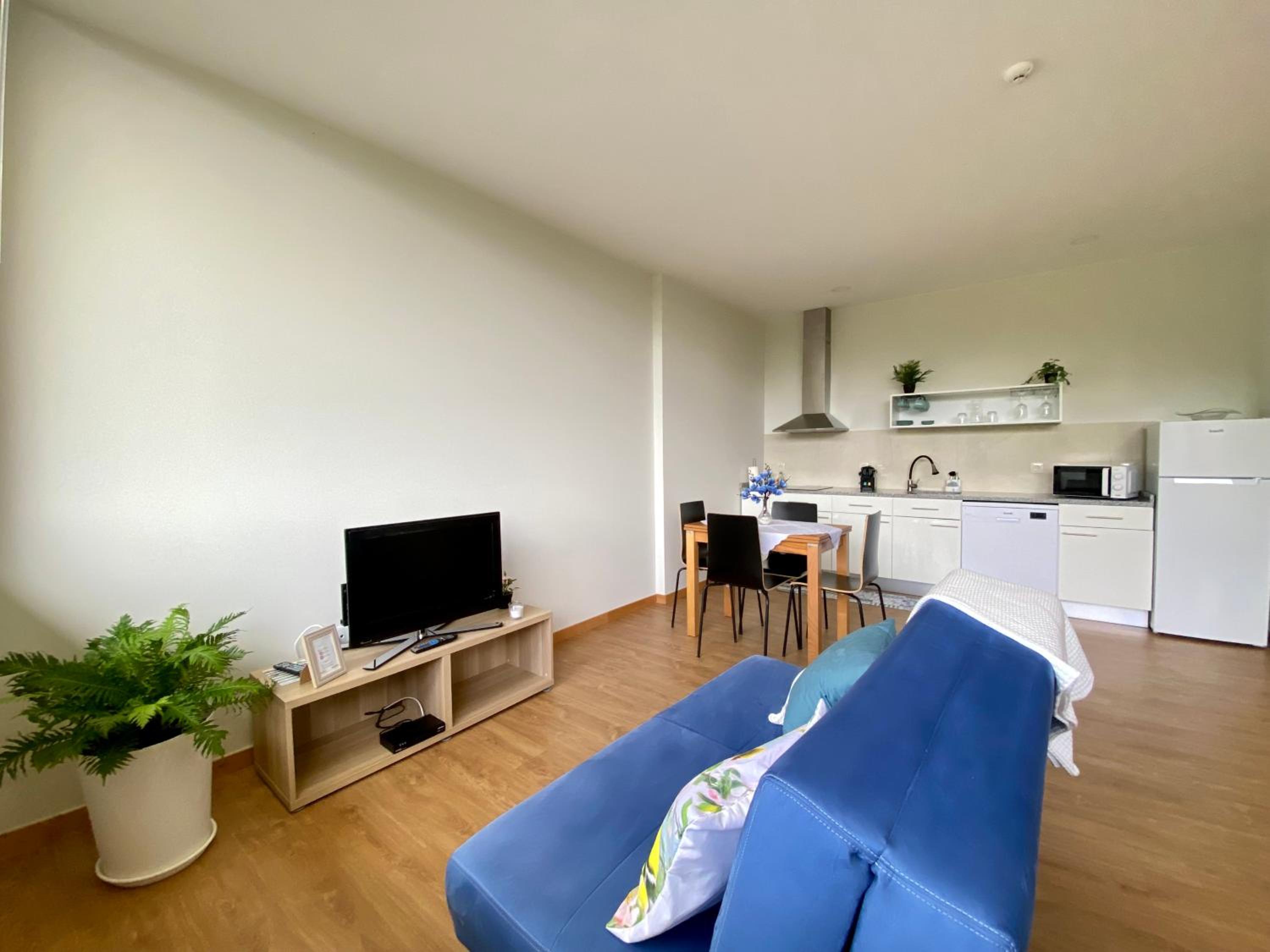 One-Bedroom Apartment photo 3