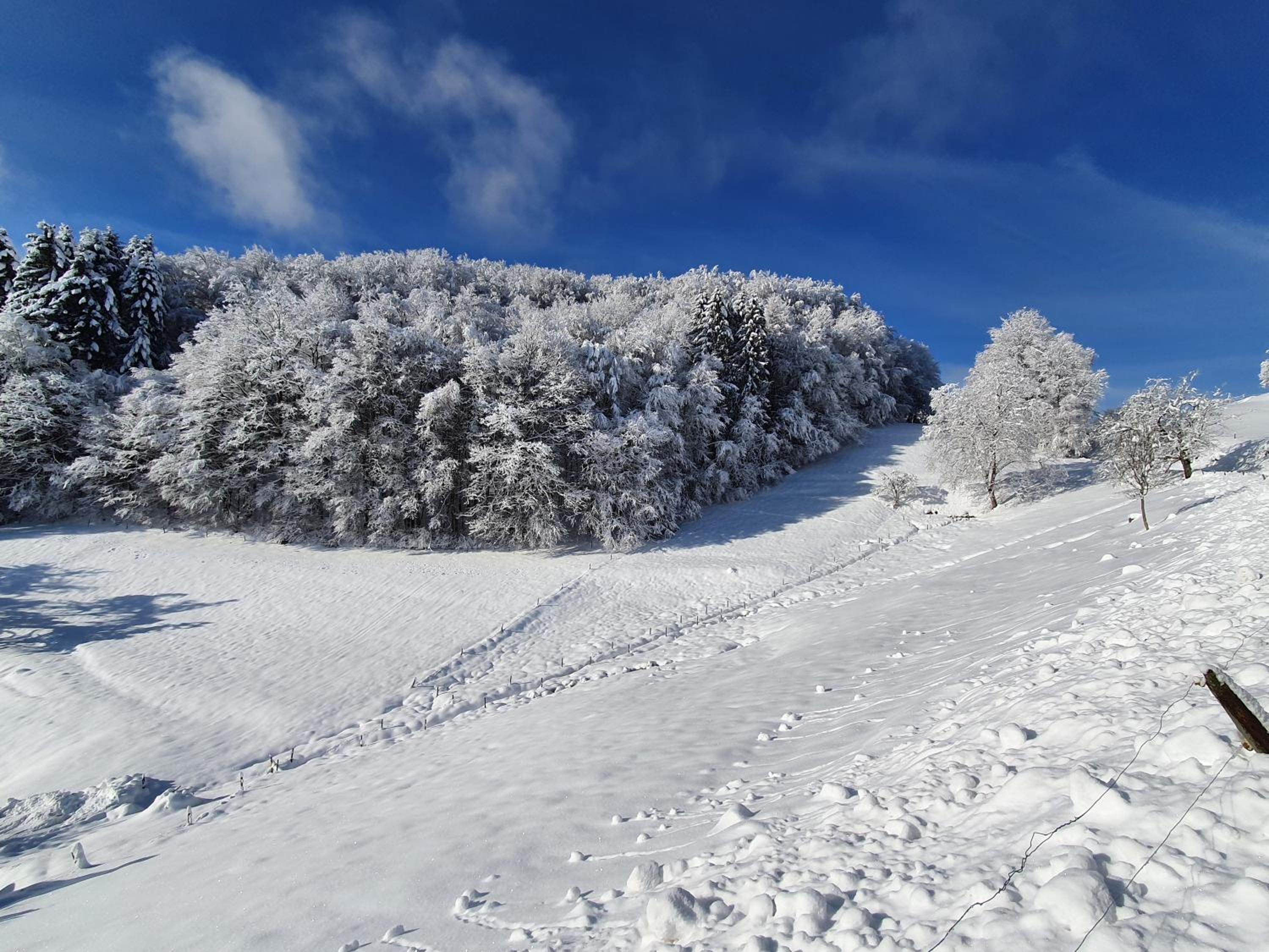 Apartment - Ground Floor photo 2