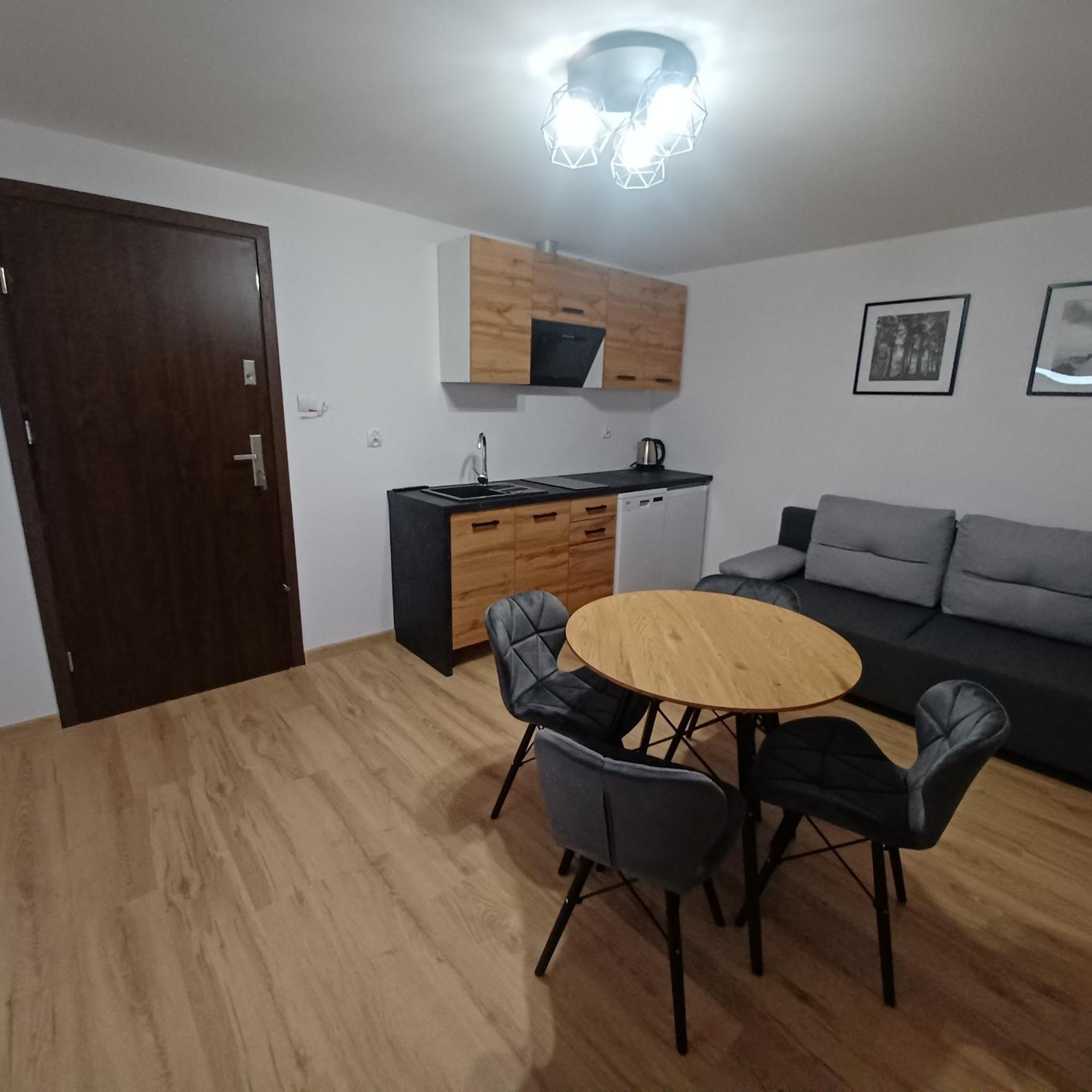 One-Bedroom Apartment photo 2