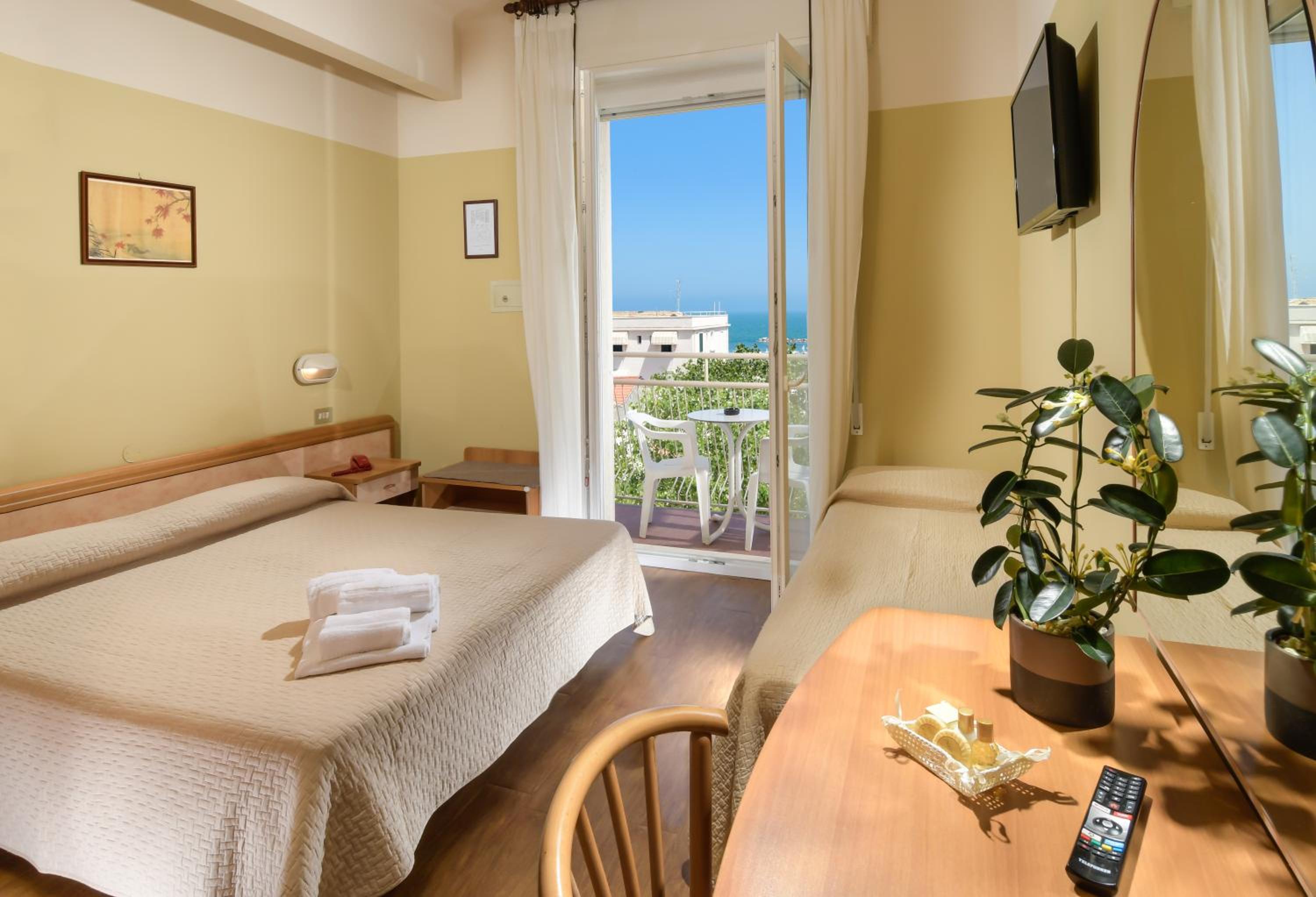 Double or Twin Room
