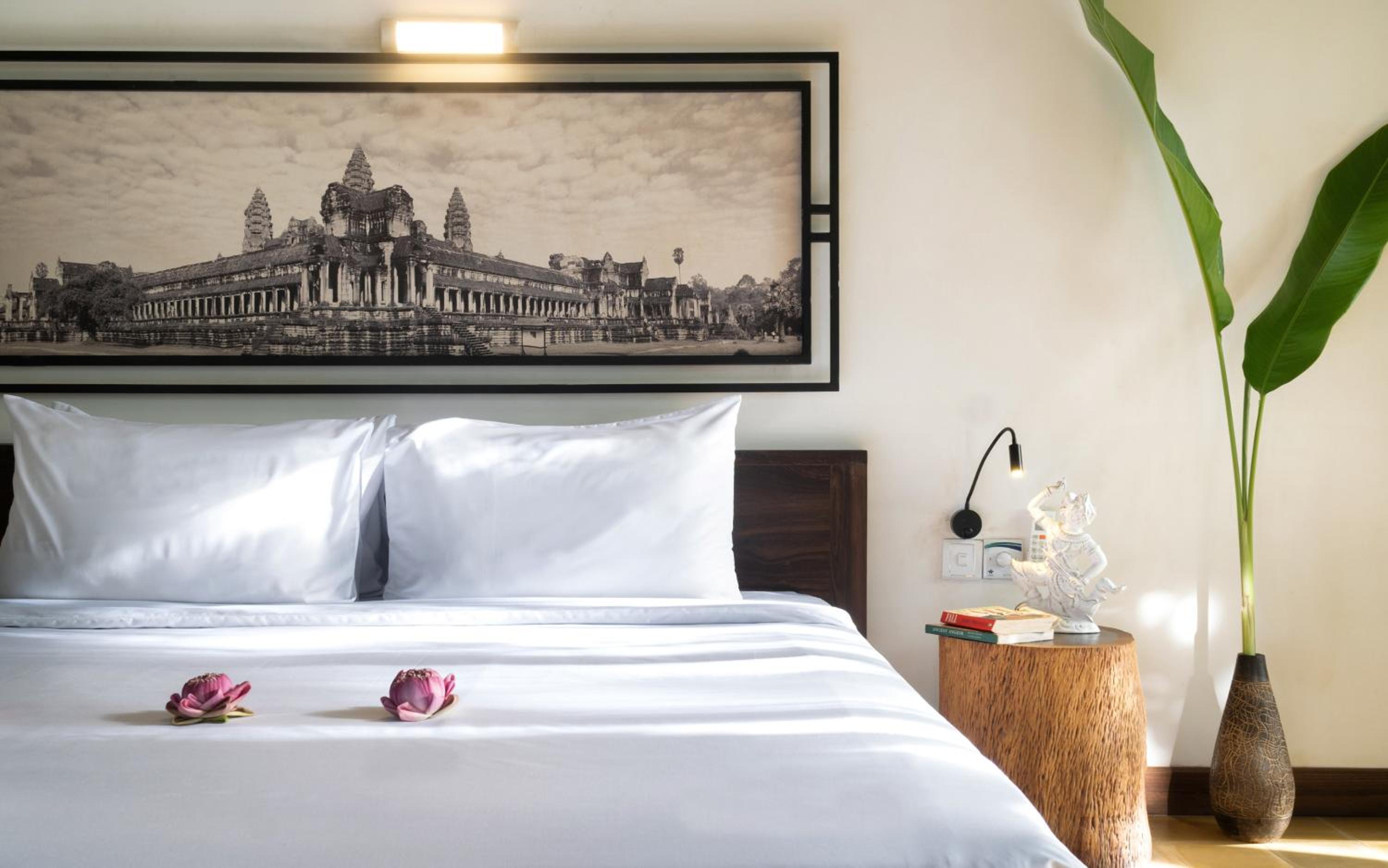 Suite with Pool Access| Includes Afternoon Tea & Tree Planting - Photo 7