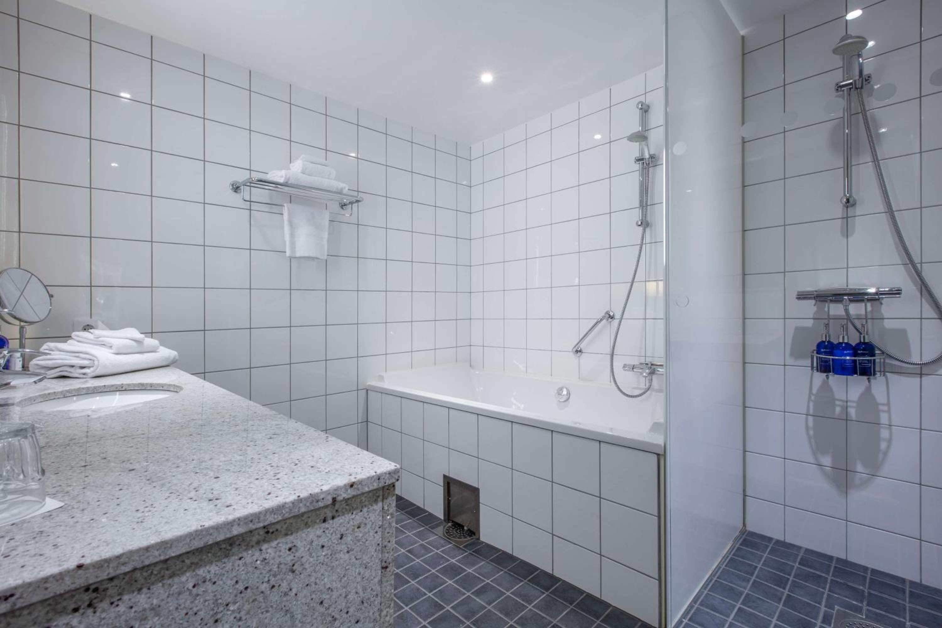 One-Bedroom Suite - Photo 8
