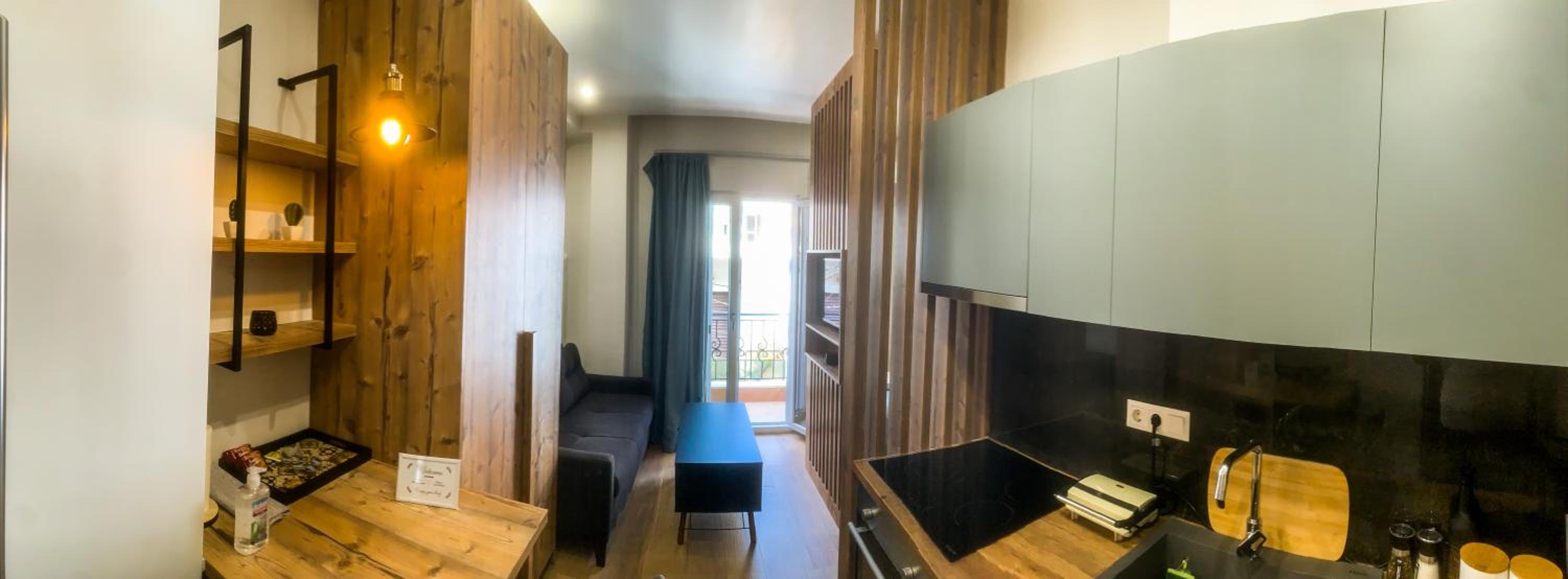 Studio Apartment photo 3