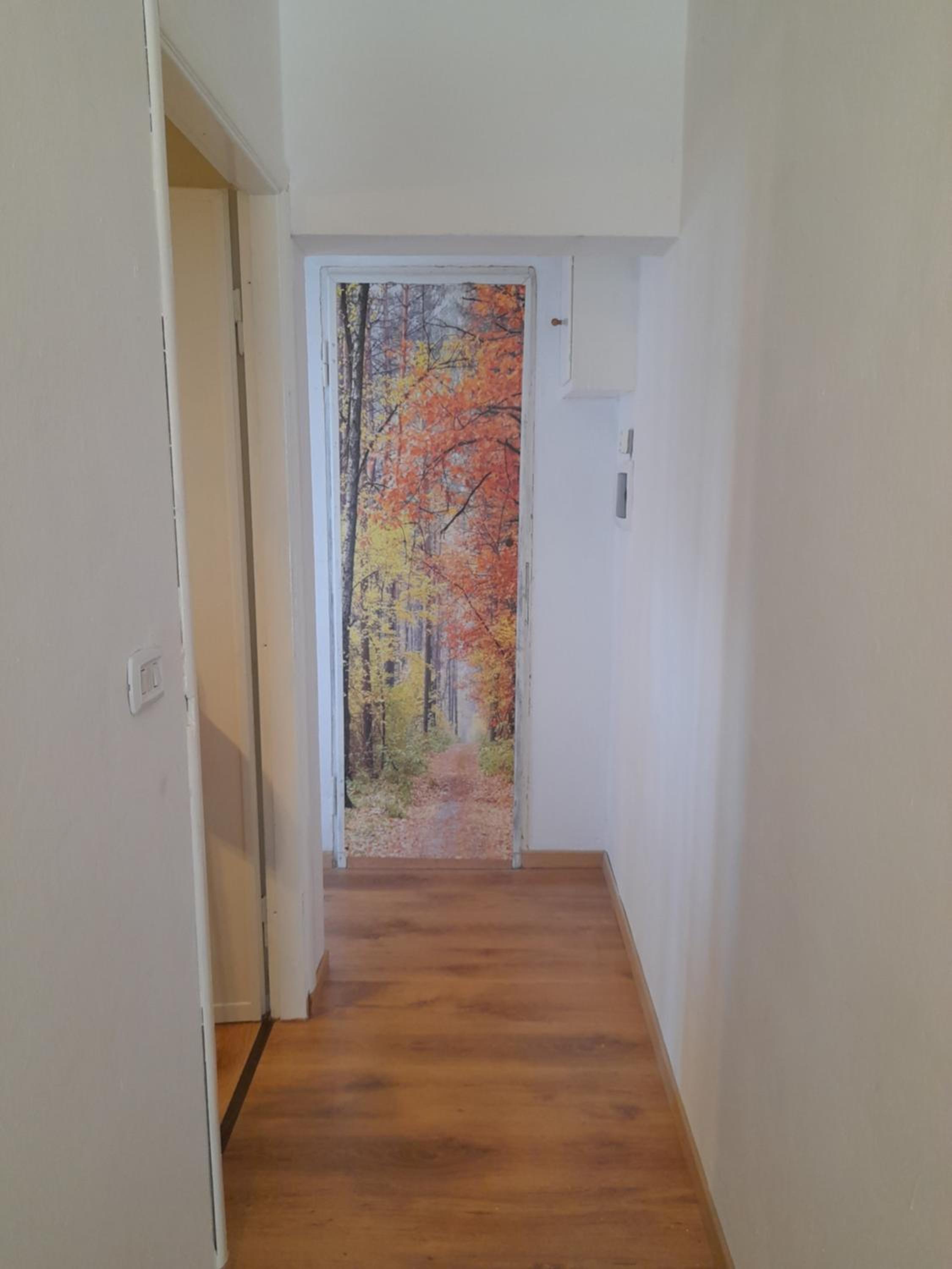 Apartment with Mountain View photo 3