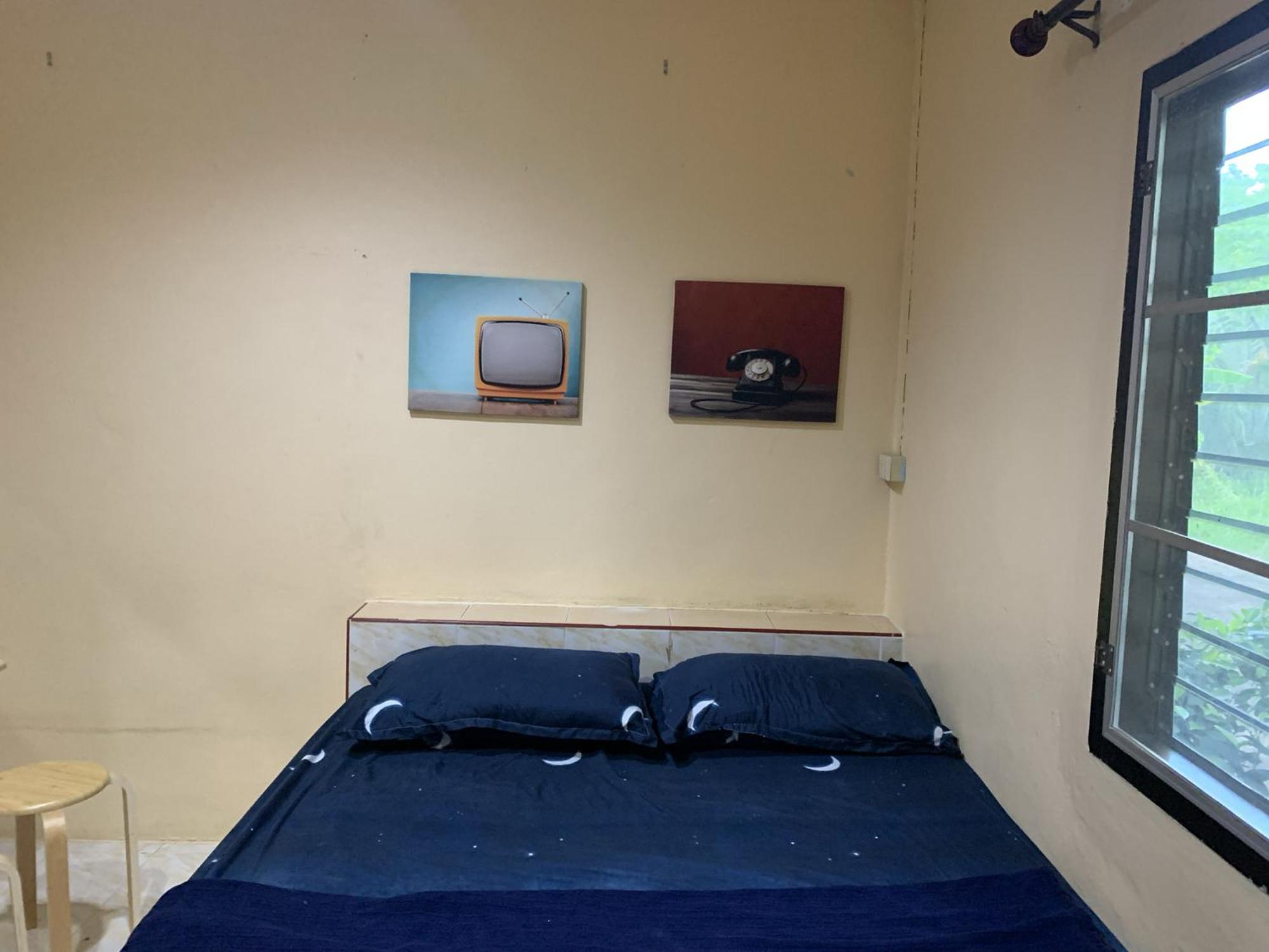 One-Bedroom House photo 2