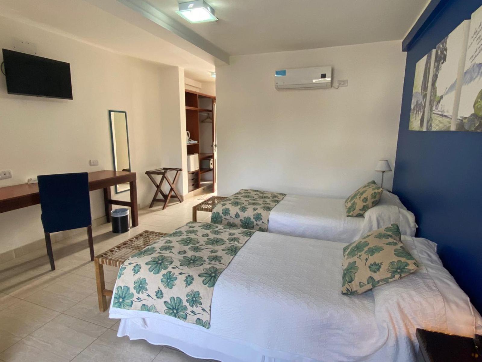 Classic Twin Room