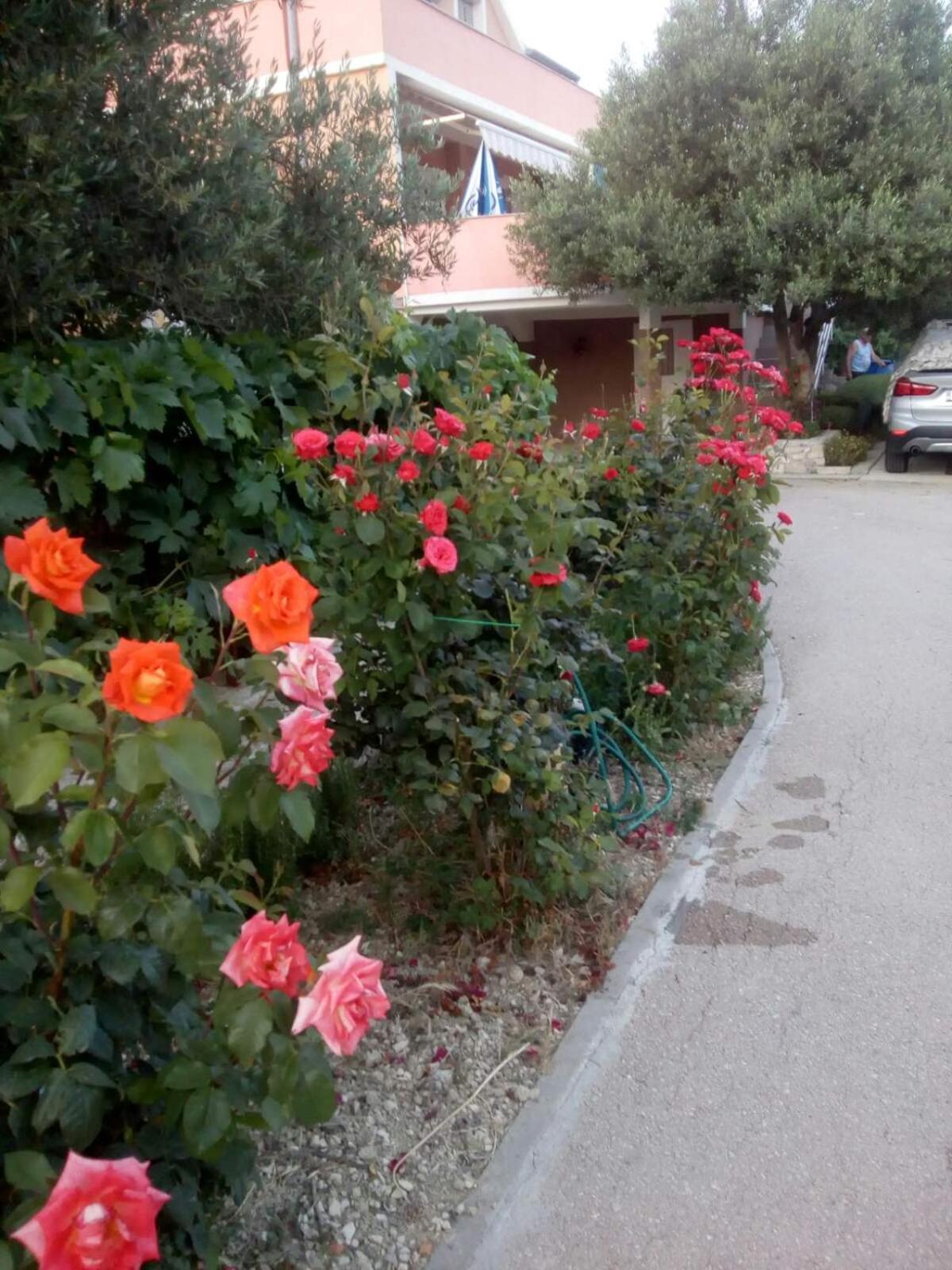 Apartment - Photo 46