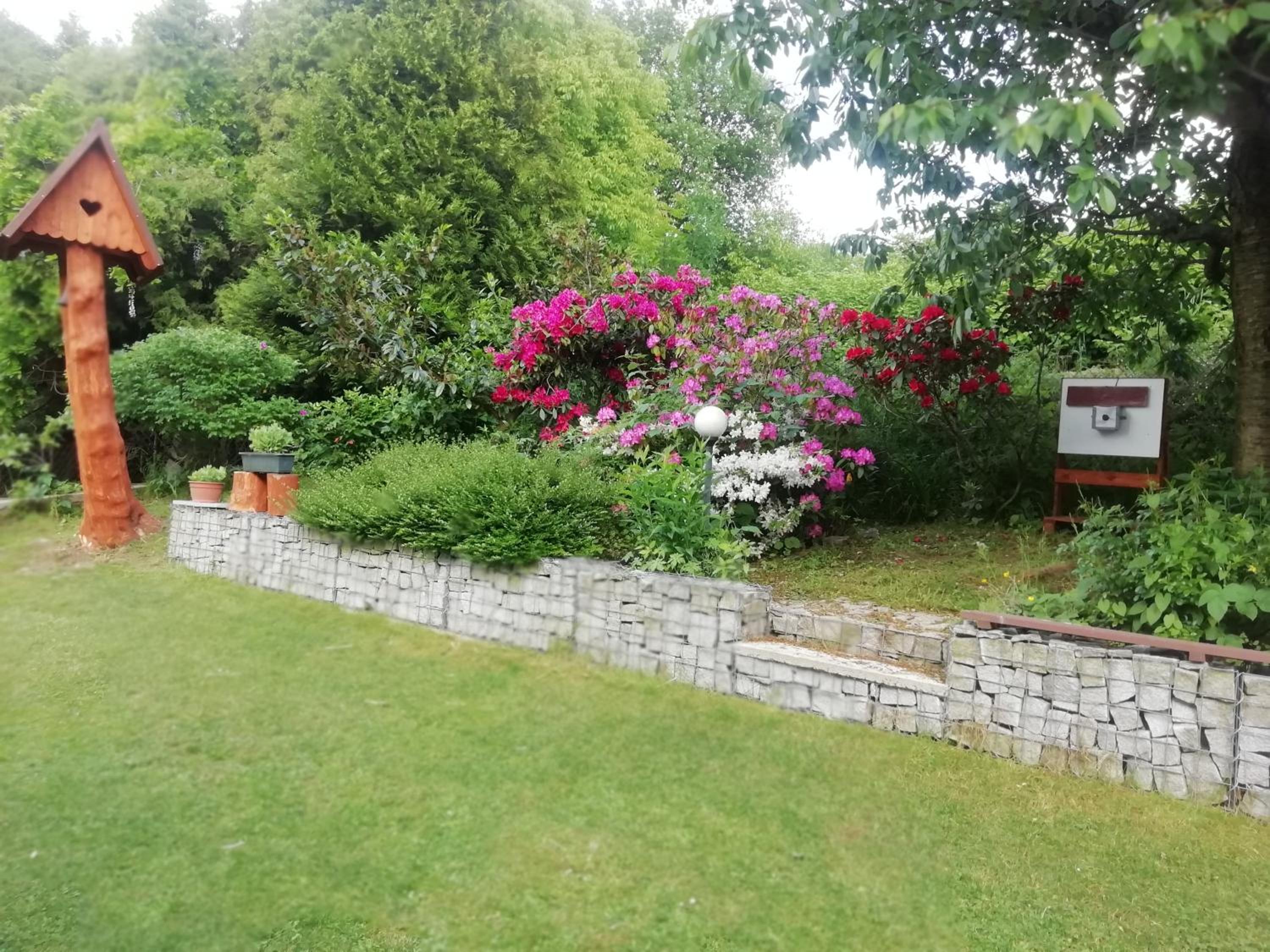 Suite with Garden View photo 3