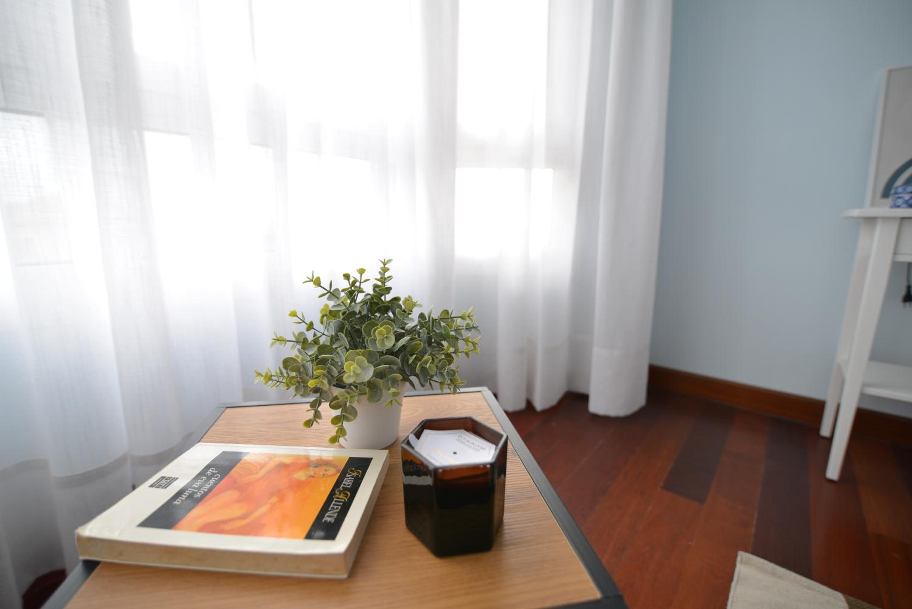 Duplex Apartment photo 3