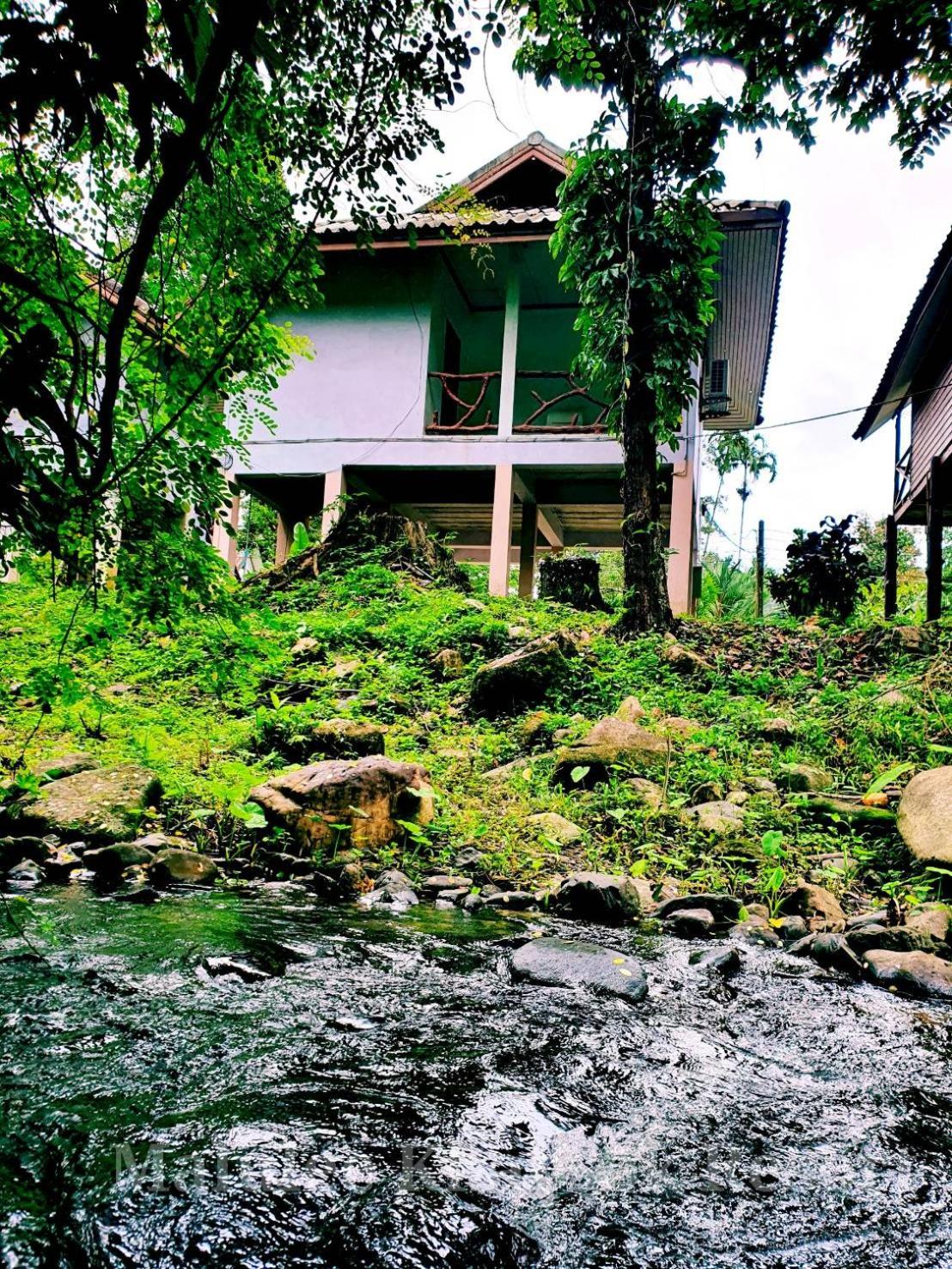 Bungalow - Water Front  - Photo 13