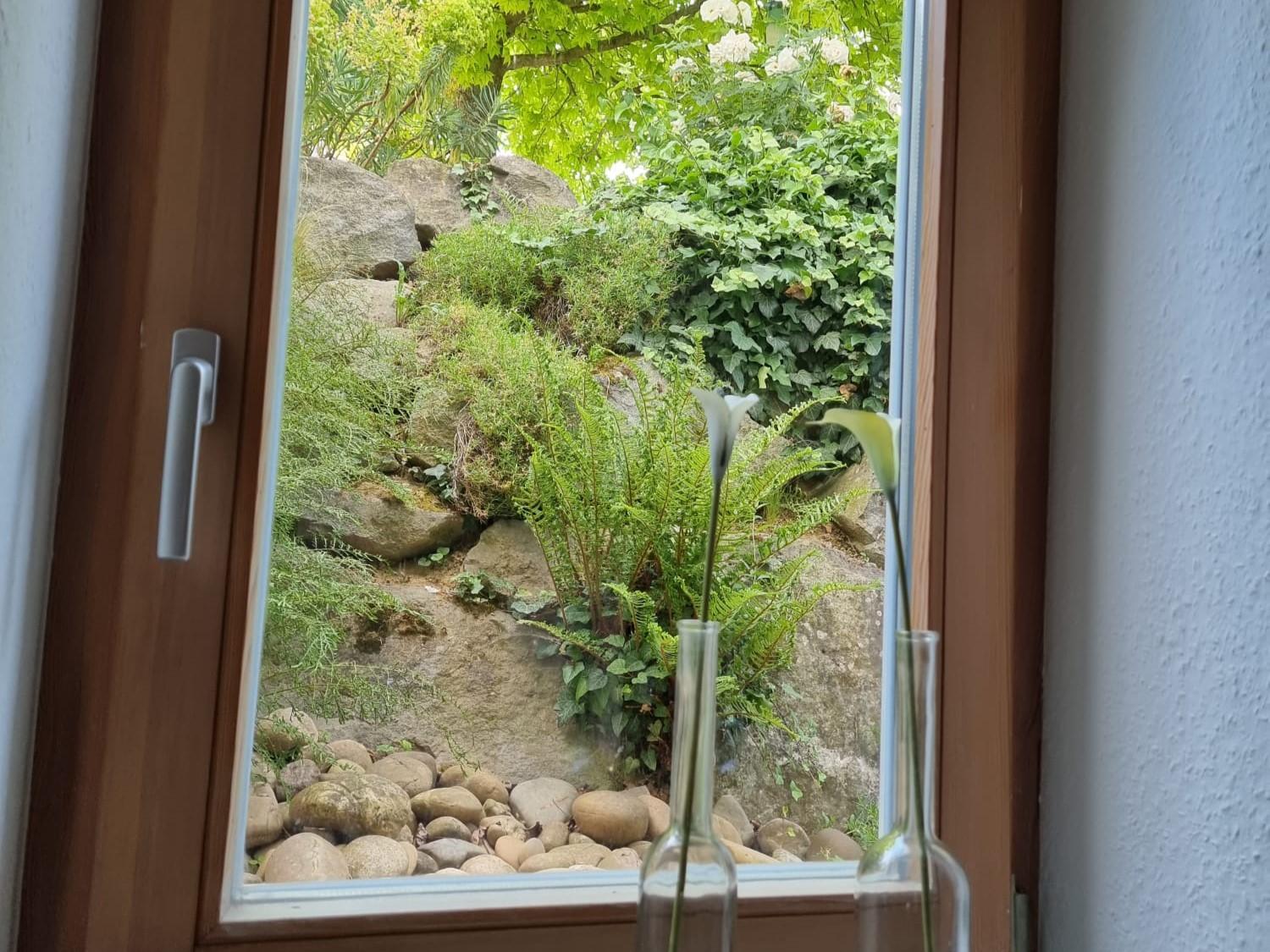 Apartment with Terrace photo 2