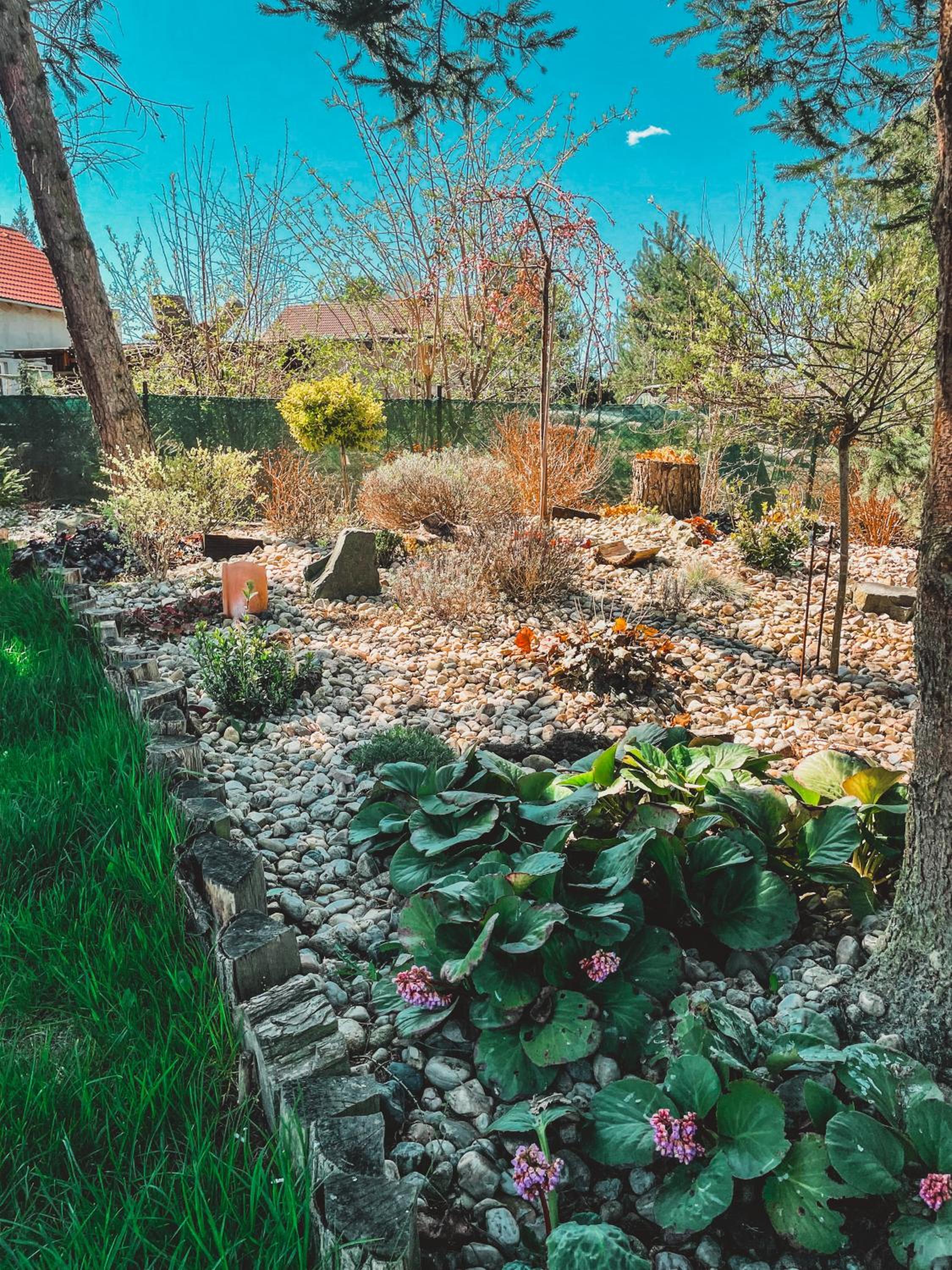 Maisonette - Photo 9
