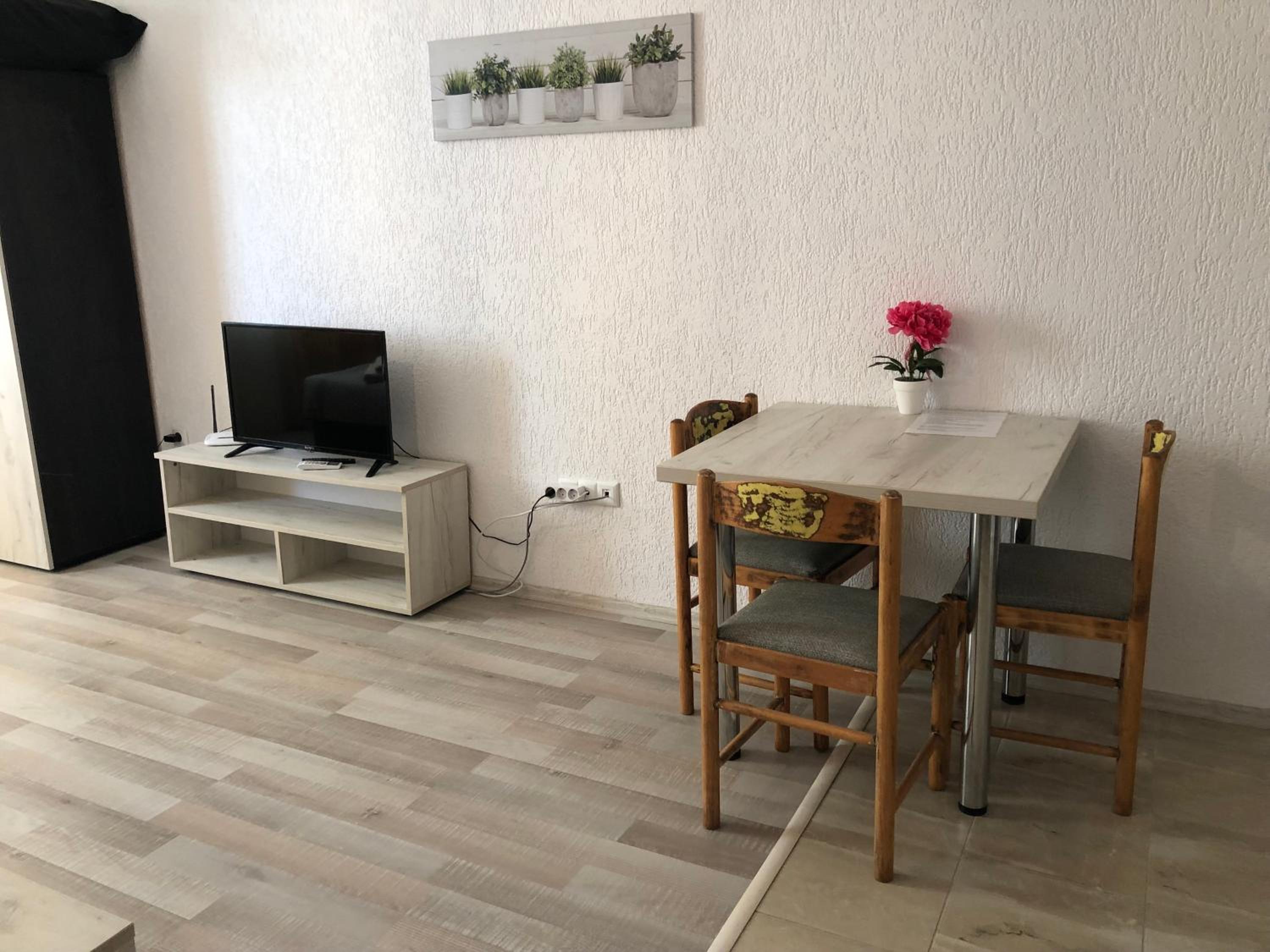 Studio Apartment photo 2