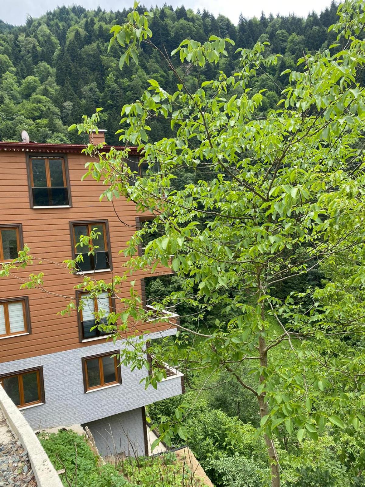 Standard Apartment - Photo 2