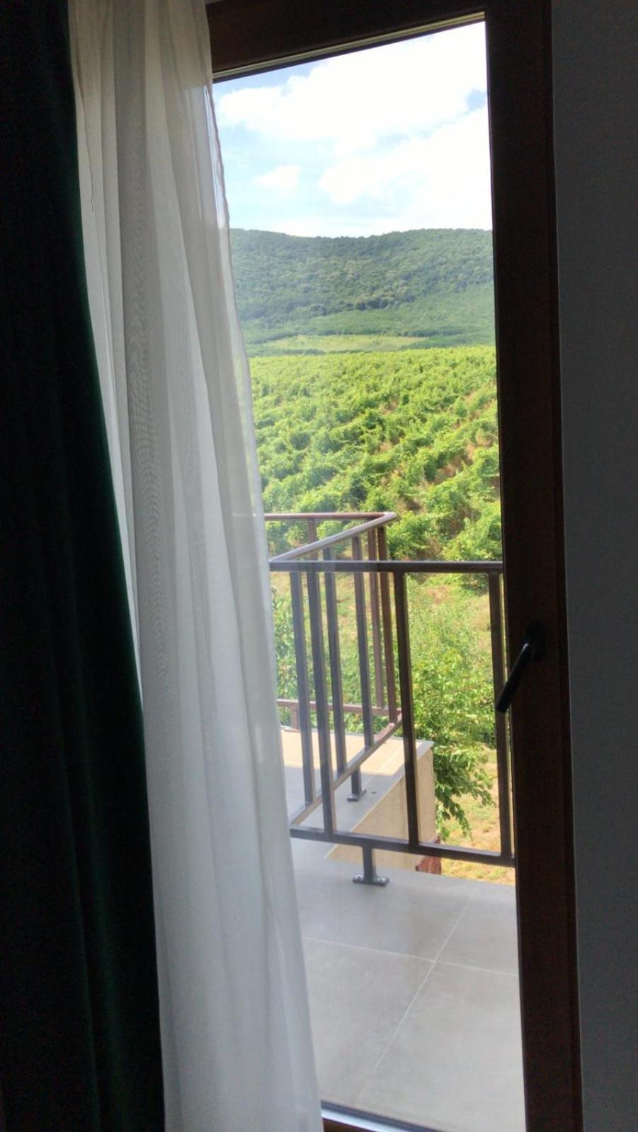 Double Room with Mountain View photo 3