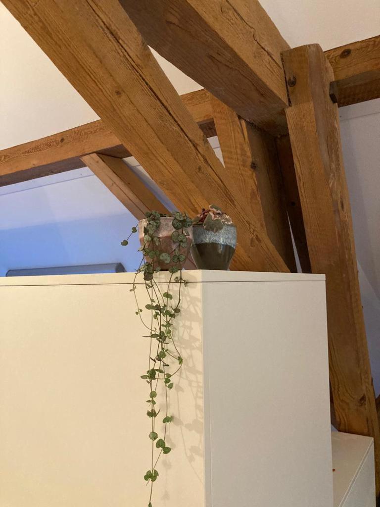 Studio Apartment - Photo 13
