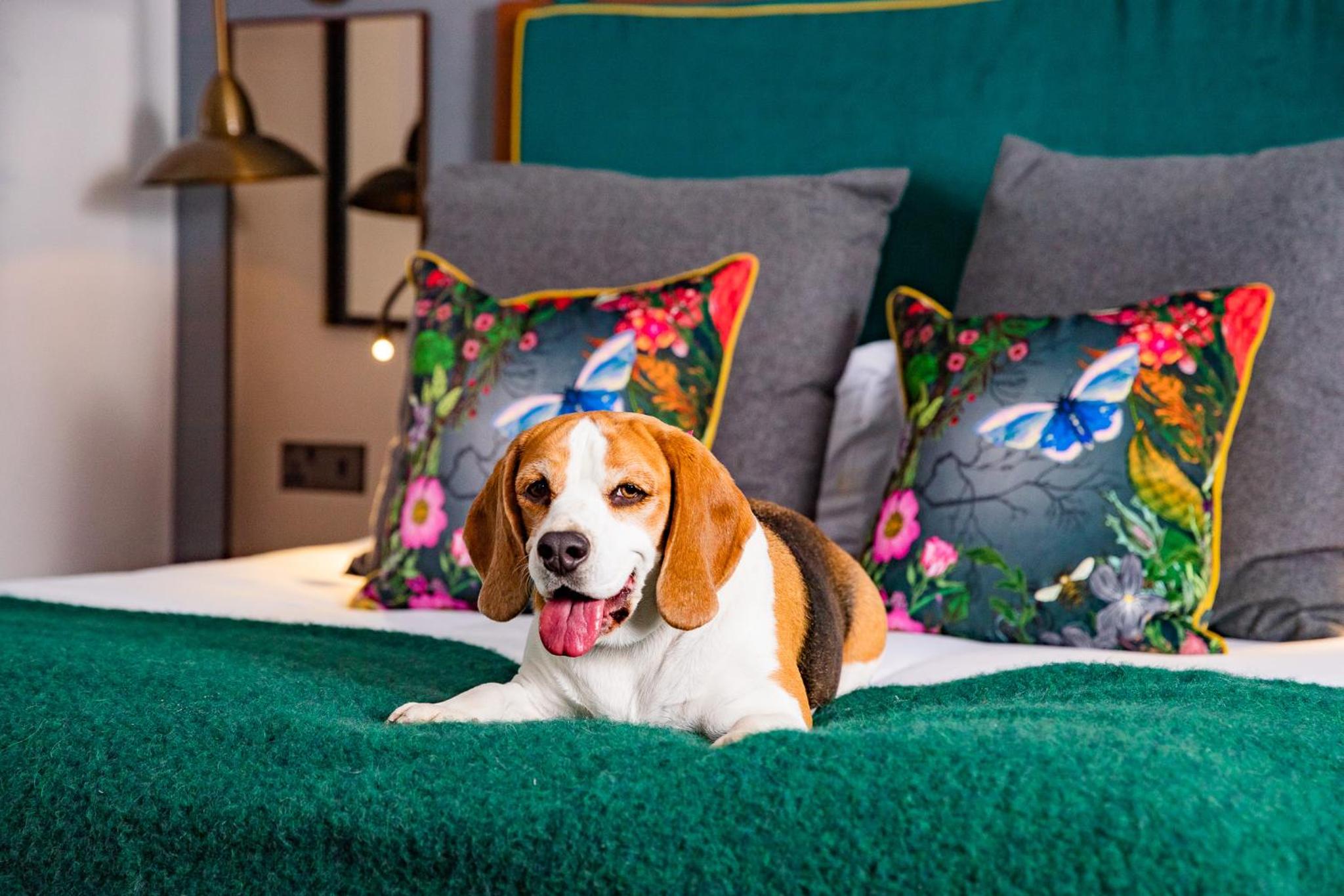 Premium Room - King or Double Double Allocated on Arrival
