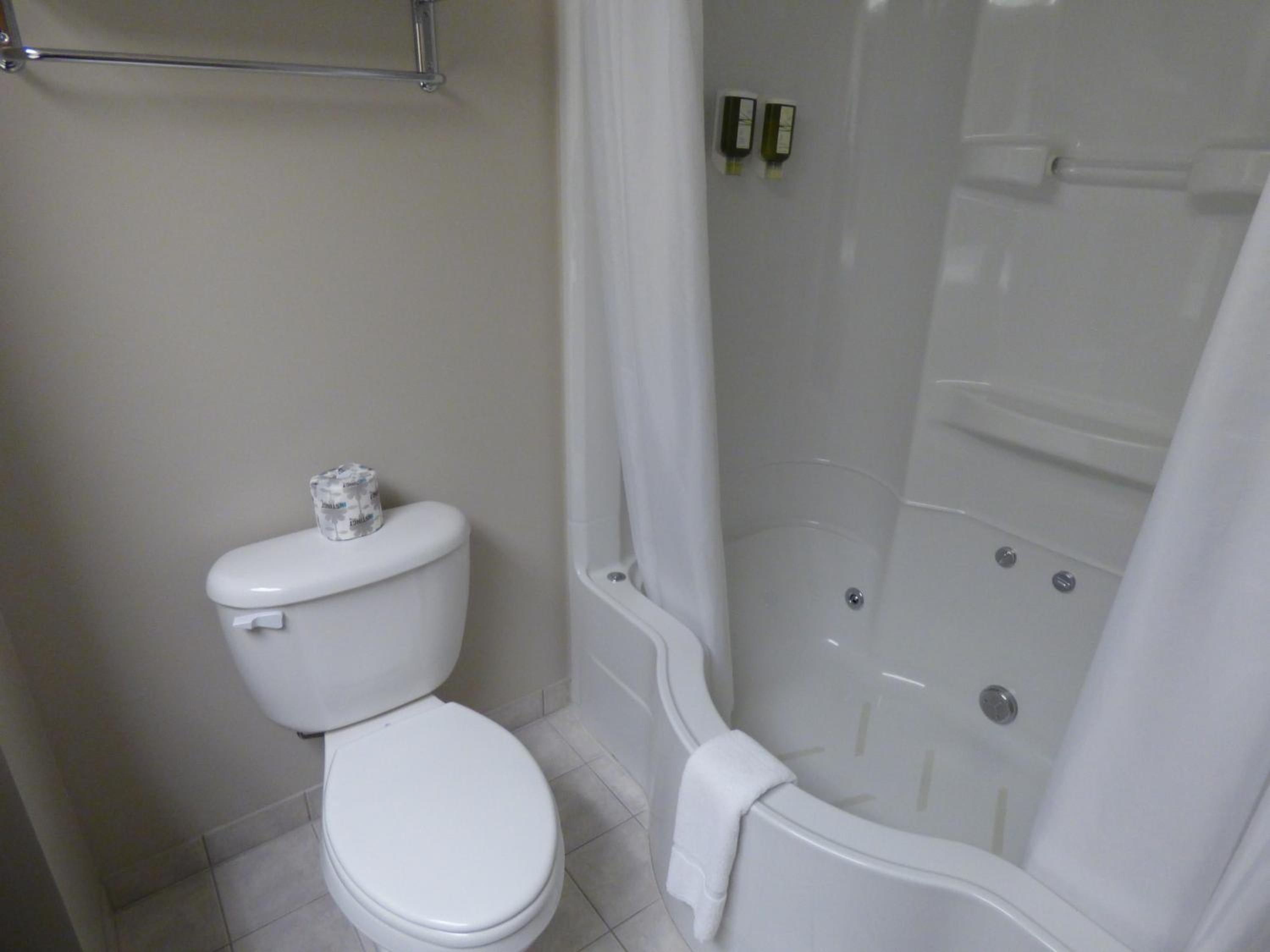 Deluxe Suite photo 3