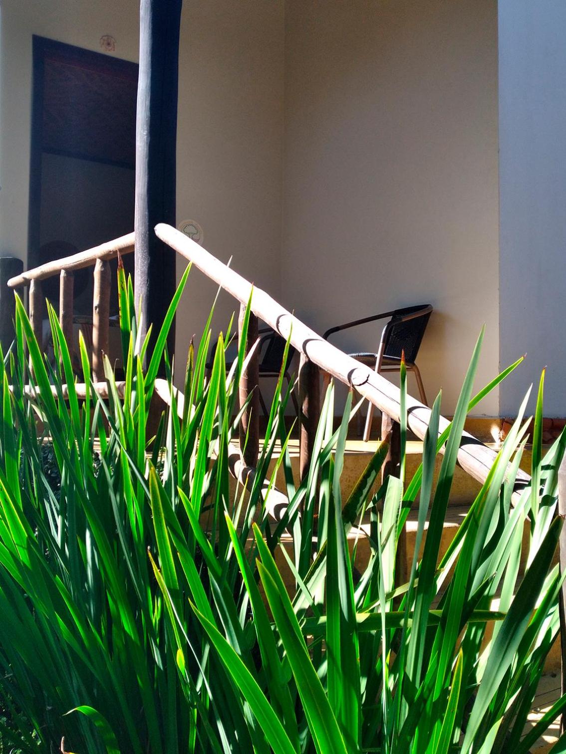 Triple Room with Garden View - Photo 16