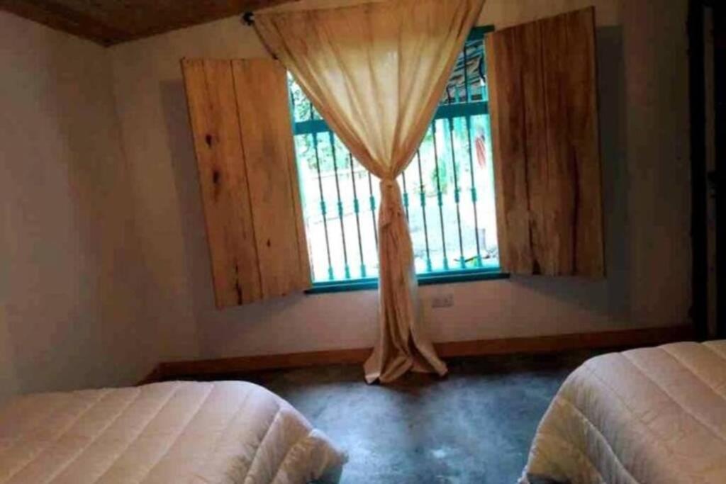 Two-Bedroom House photo 1