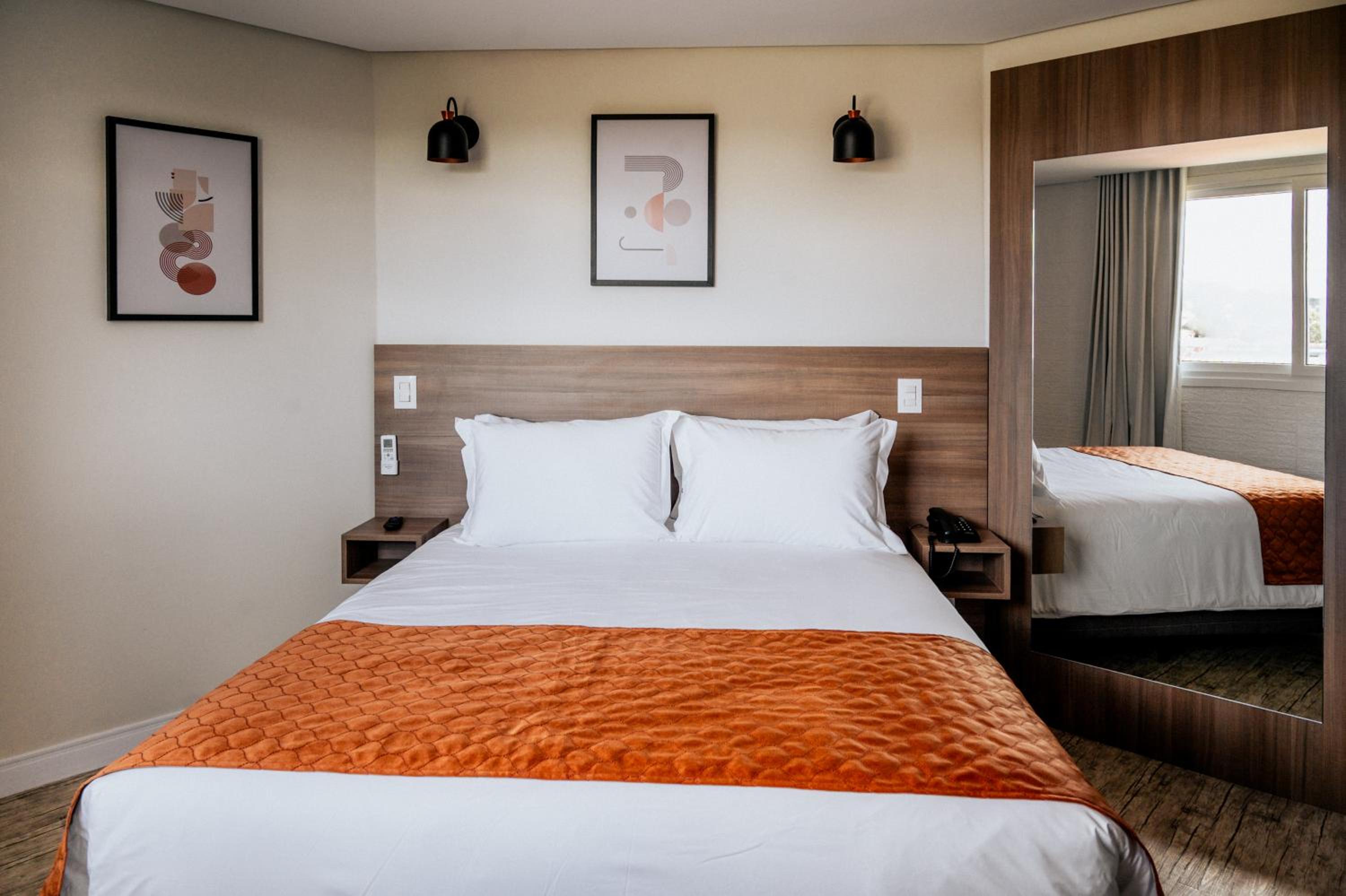 Deluxe Double or Twin Room with City View photo 3