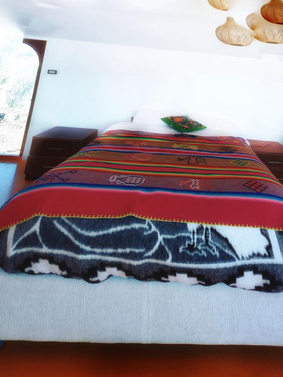 Double or Twin Room with Terrace photo 2