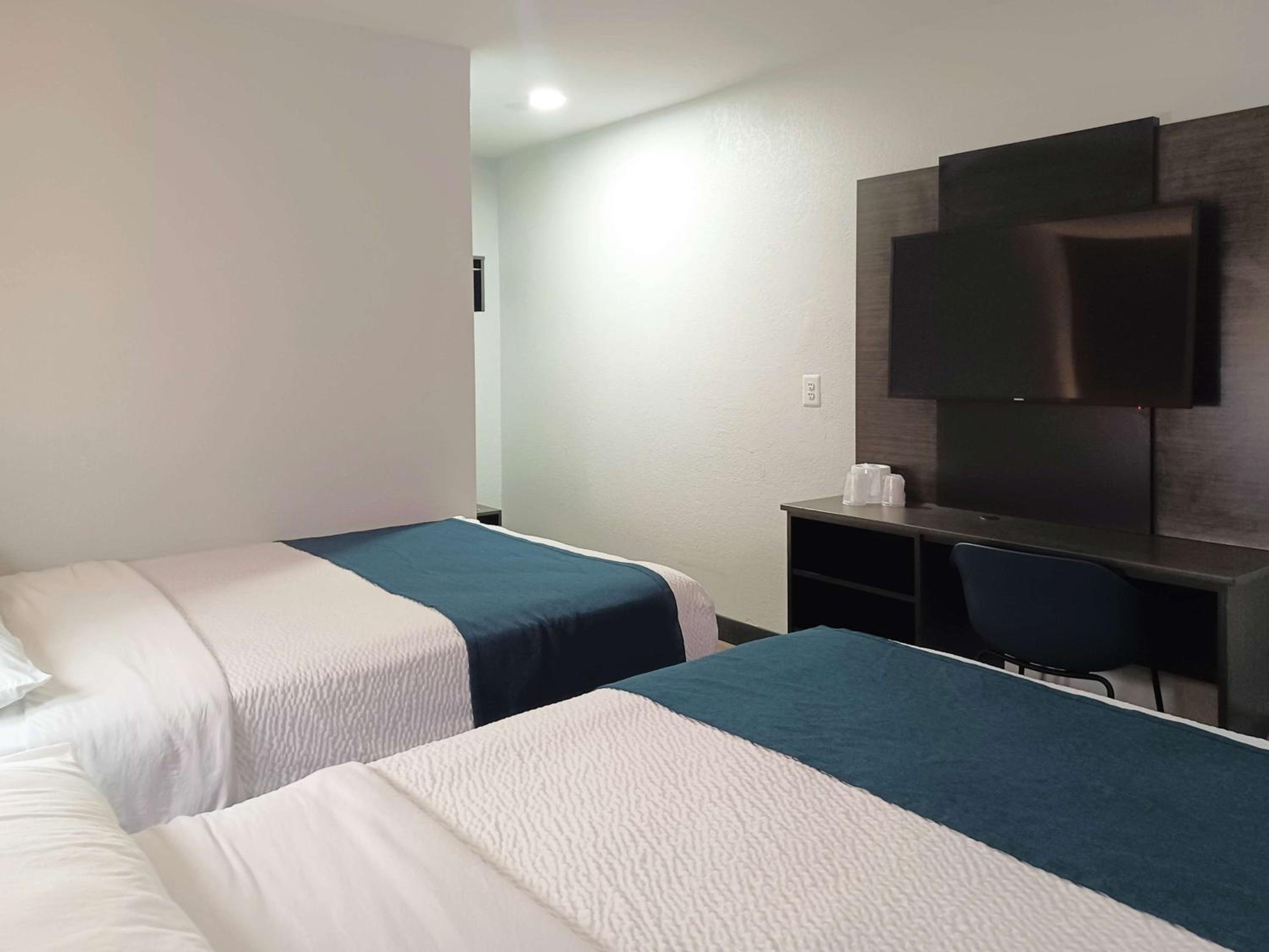 Deluxe Quadruple Room photo 1