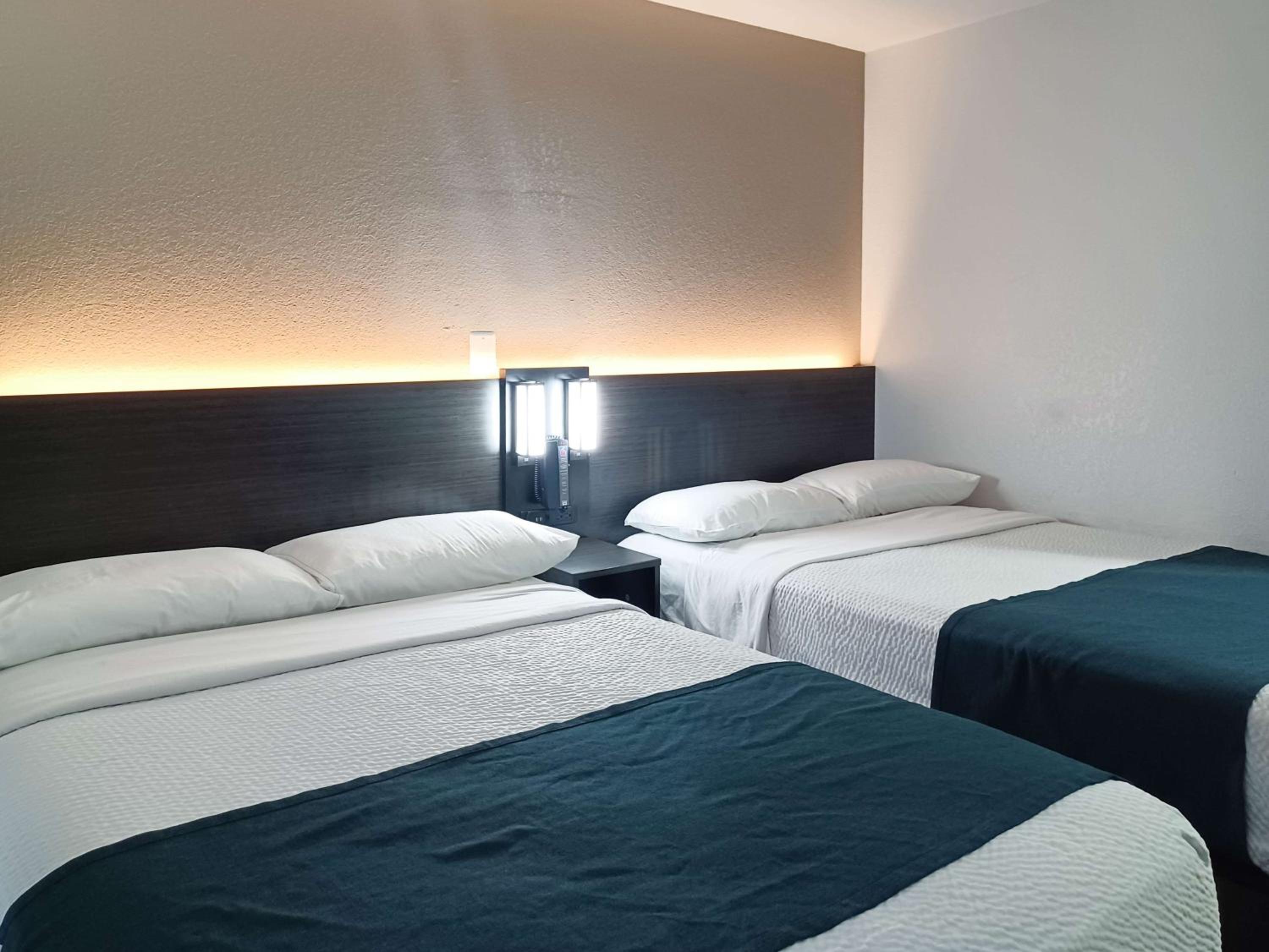 Deluxe Quadruple Room photo 2