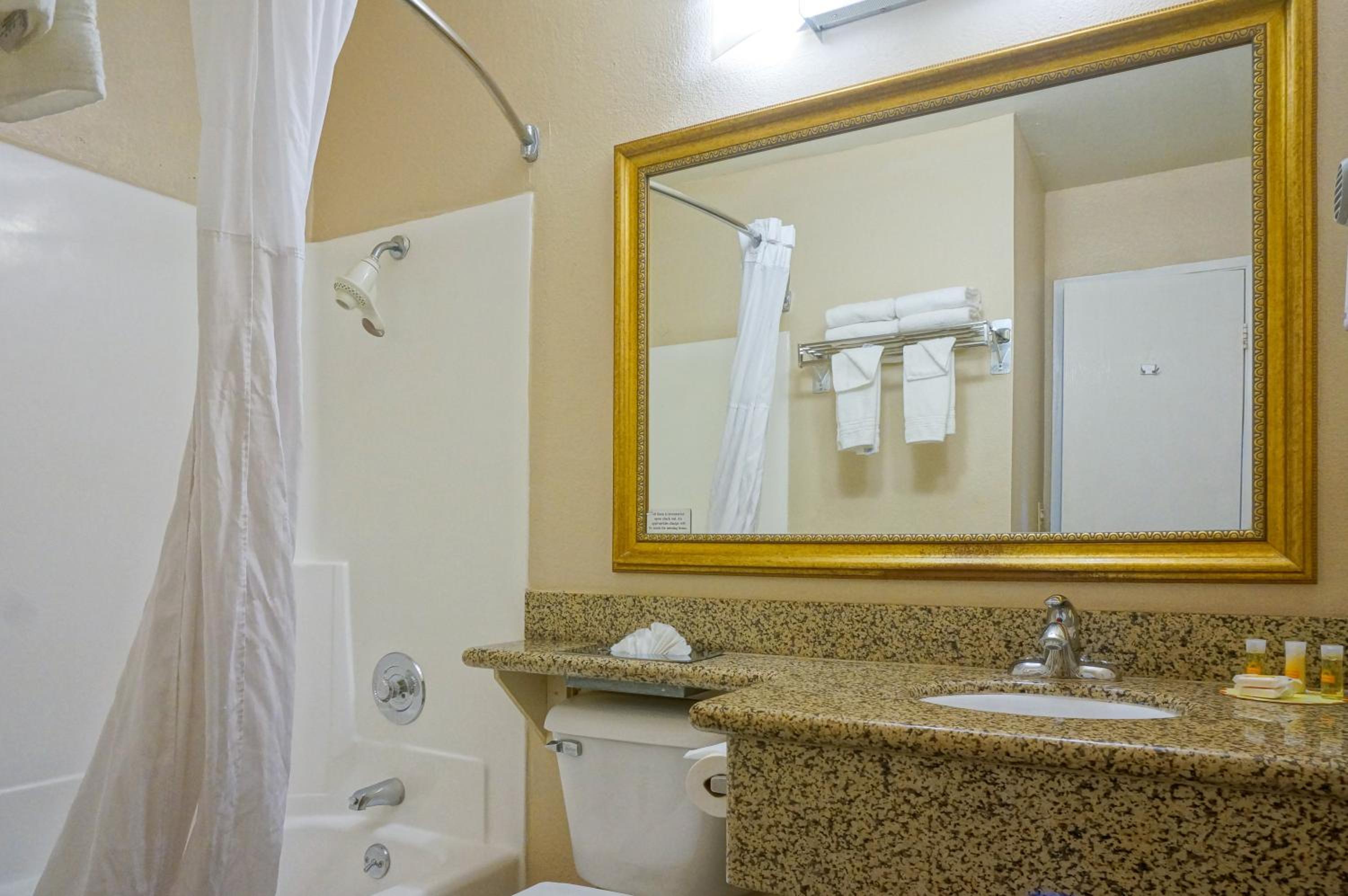 King Studio Suite - Non-Smoking - Photo 1