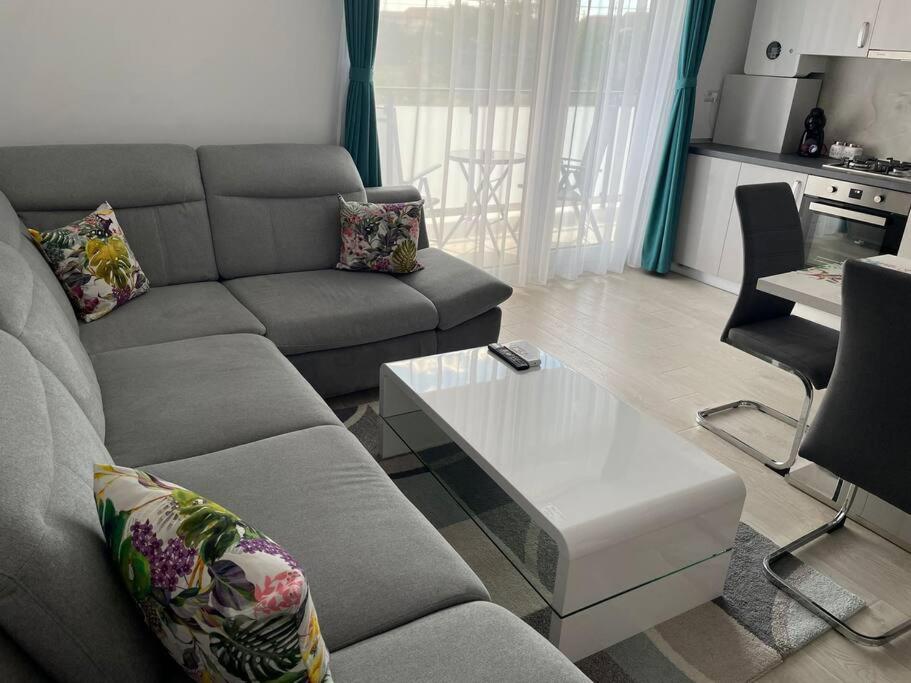 One-Bedroom Apartment - Photo 1