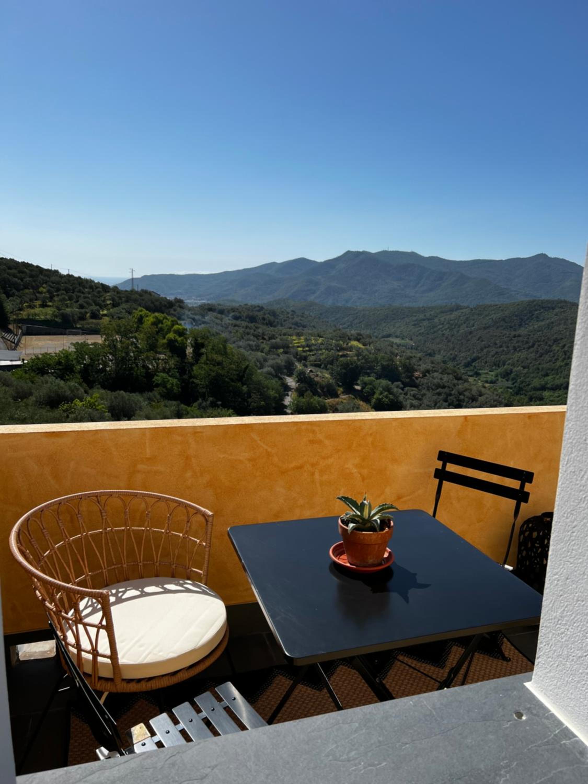Apartment with Terrace photo 2